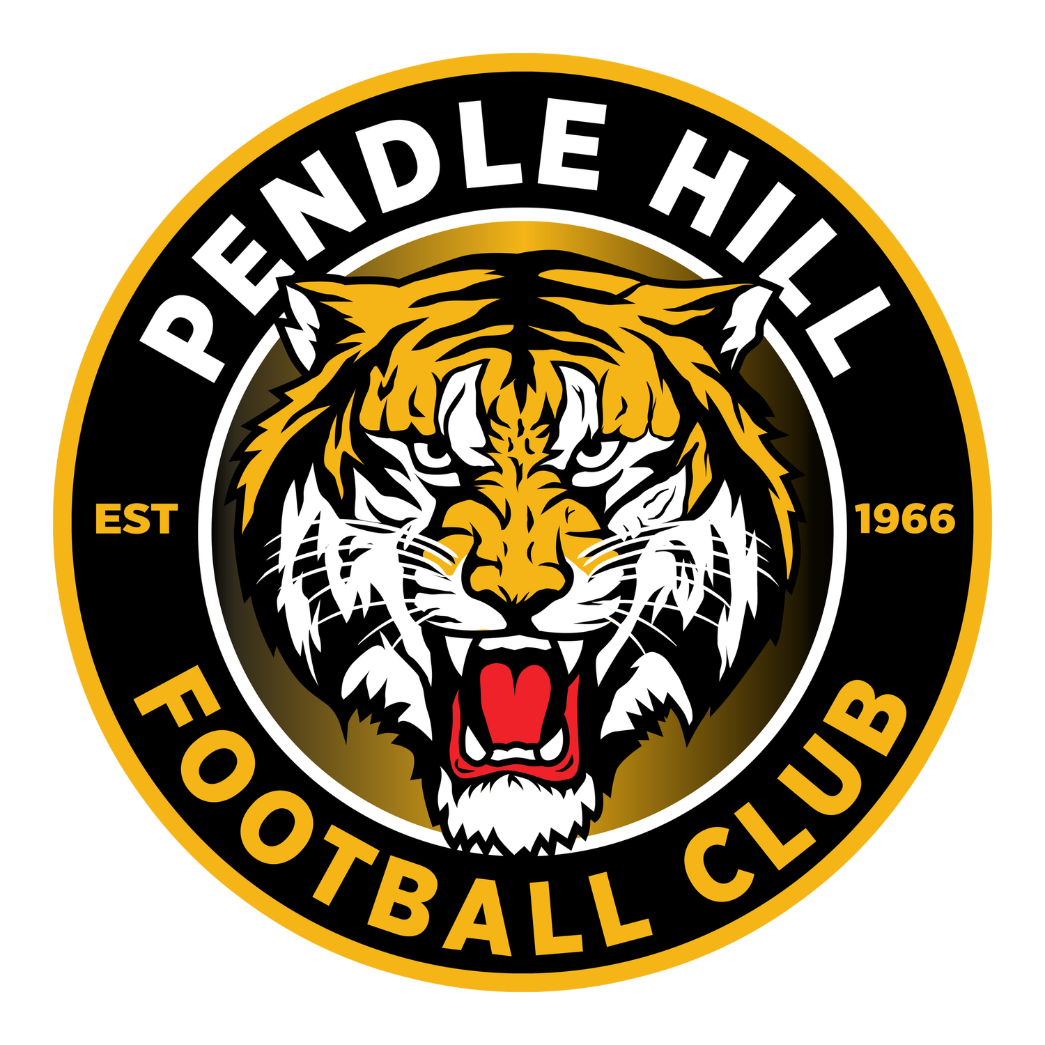 Pendle Hill FC