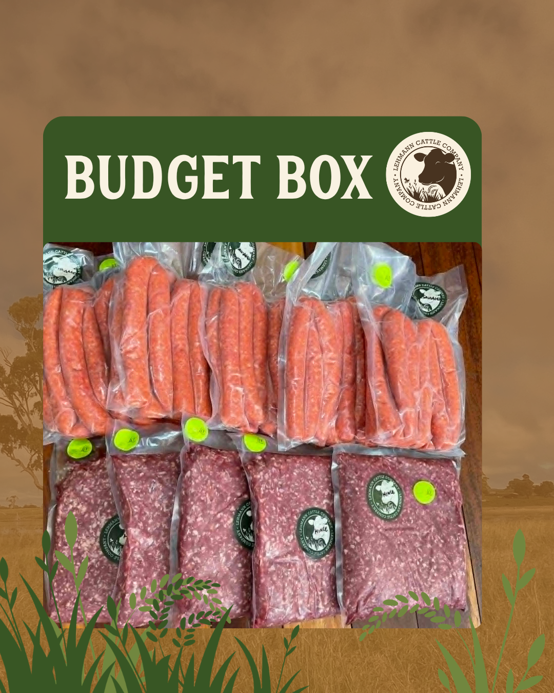 Budget.png