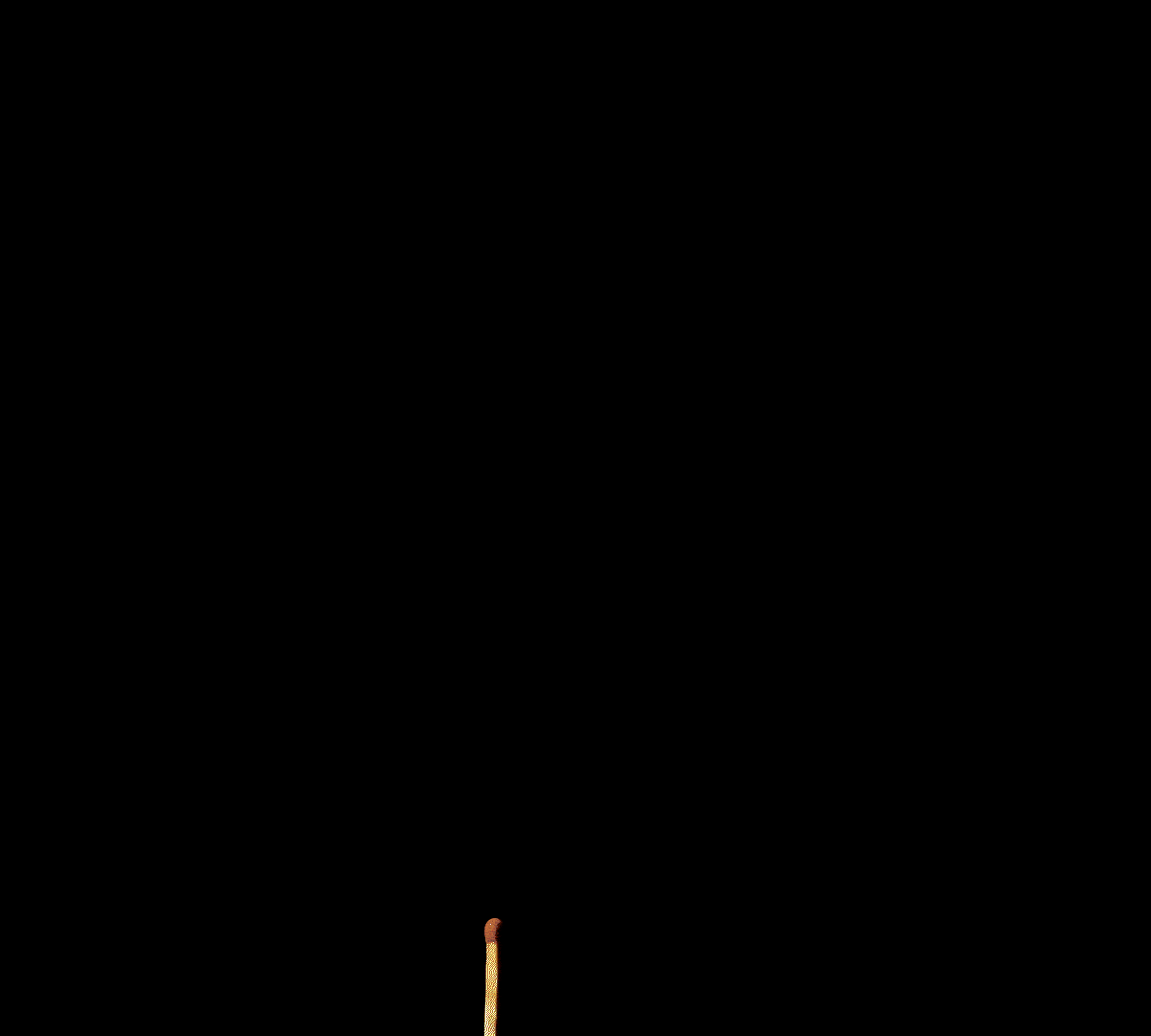 Comp1_1-ezgif.com-optimize.gif