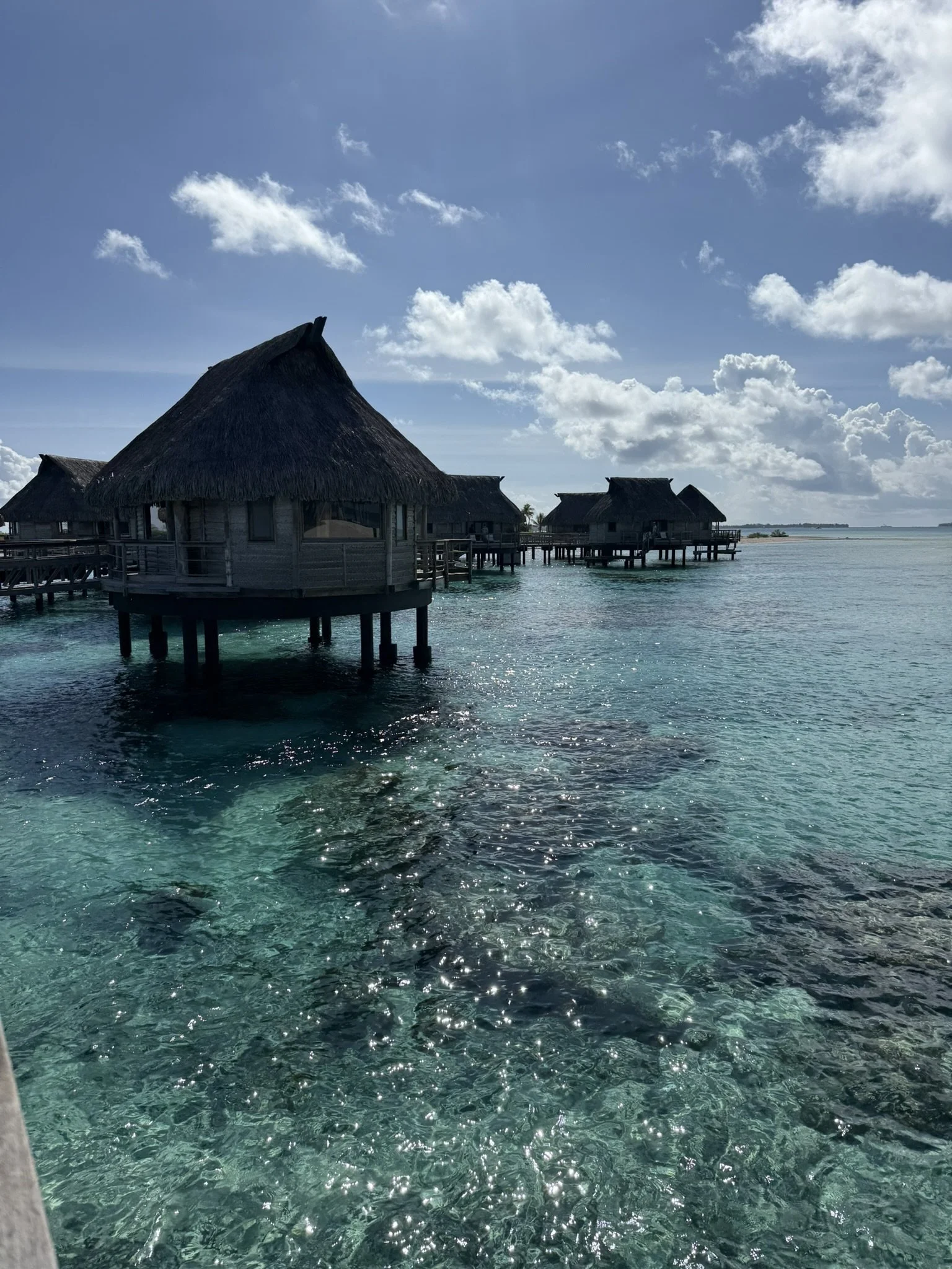Tikehau overwater bungalow with clear lagoon water for a secluded South Pacific escape