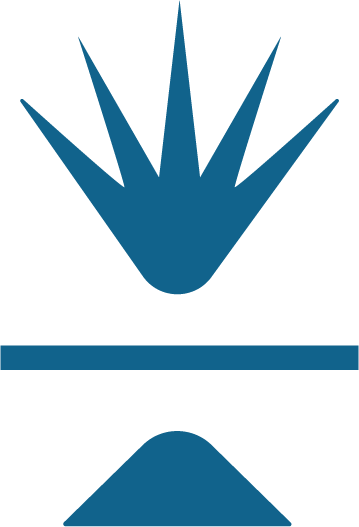 Ash-and-Agave_Logo_Mark_DEEP SEA.png