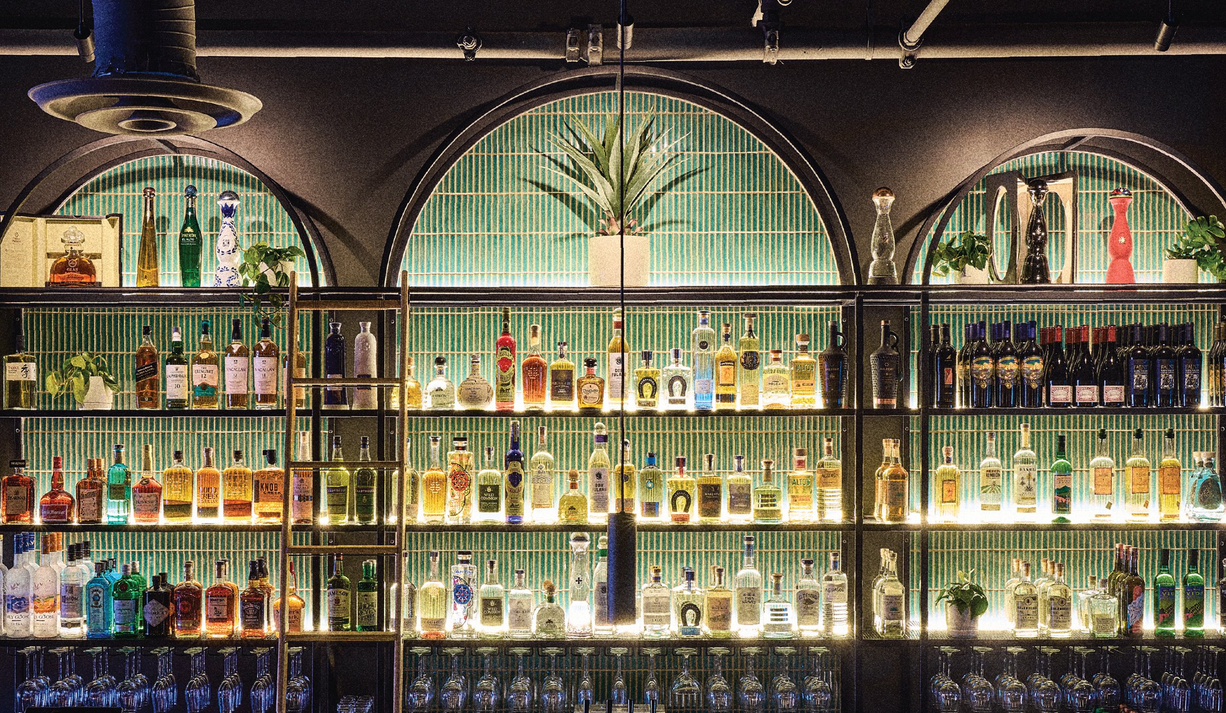 Ash-and-Agave_Back-bar.jpg