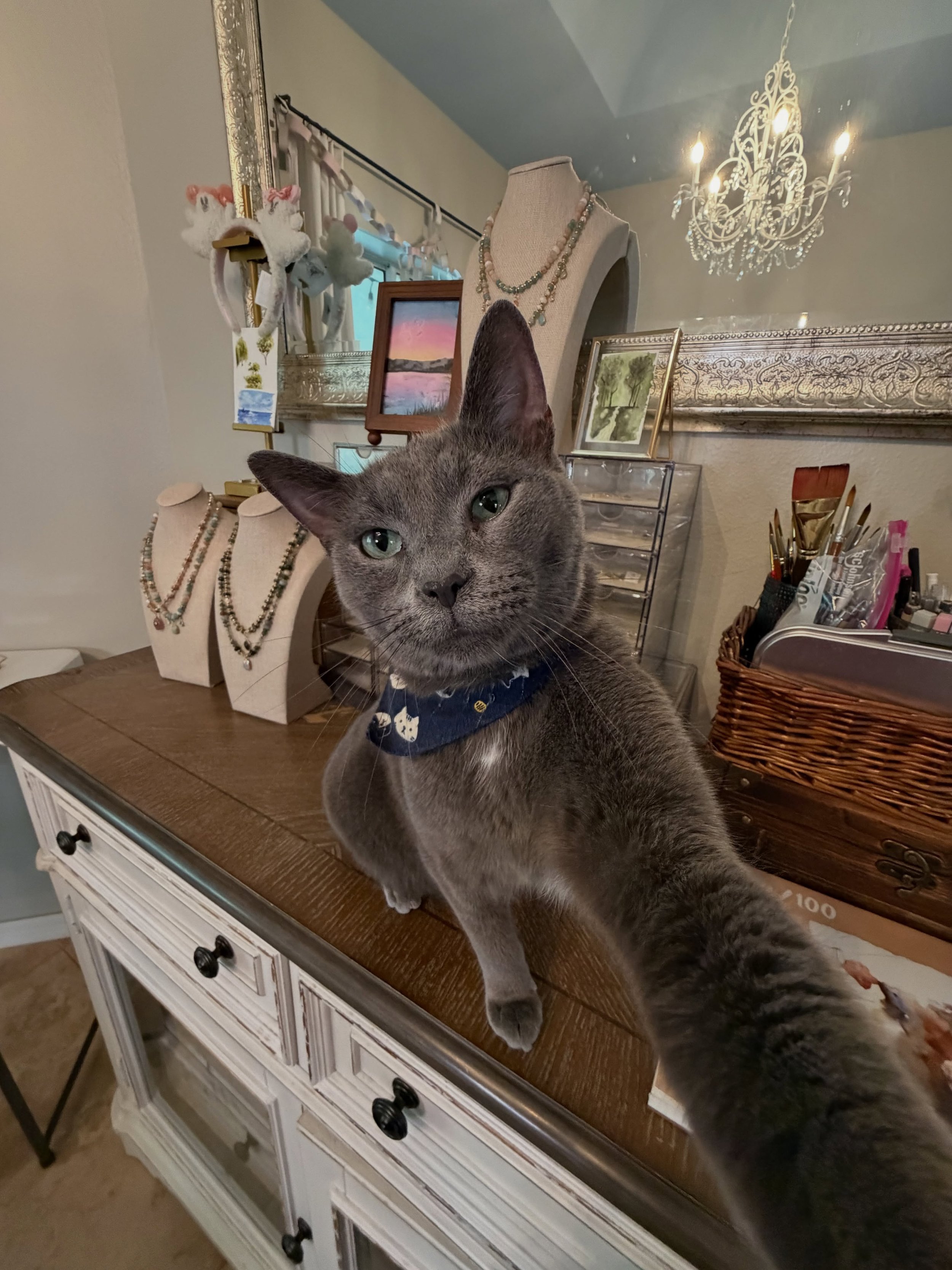 All necklaces are Jappy approved ✔️

I cannot go over to my supplies without him immediately jumping up to get in my way. Apparently quality control is a very hands on position around here 😂

Anyway, here are a few of the necklaces he&rsquo;s been s