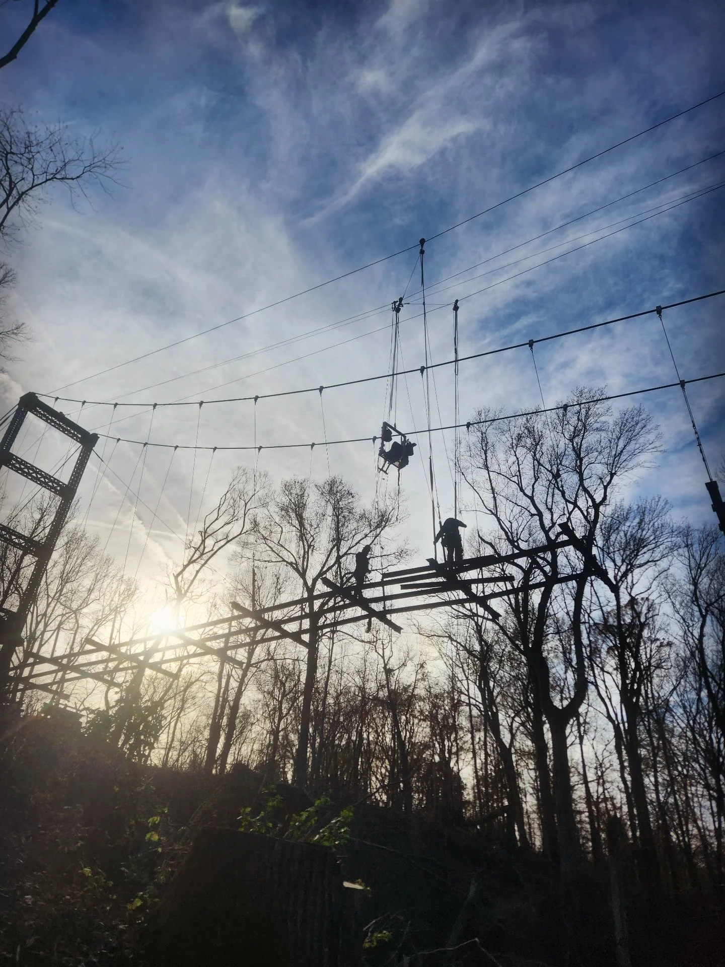 Rare sunny day on this project #suspensionbridge #skywalker #trail #lynx