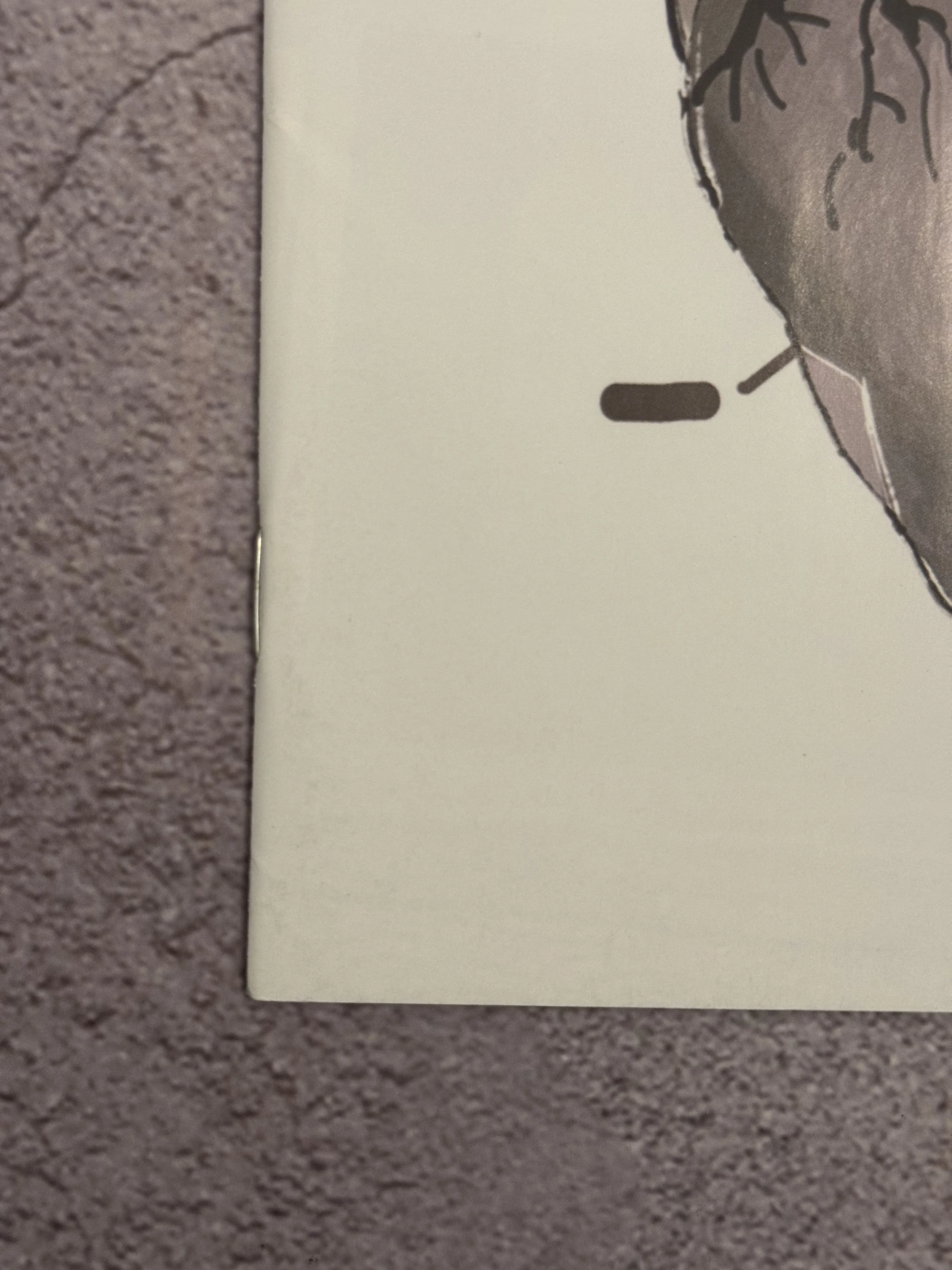 Life is Strange #9 Anatomical Heart Cover (Titan Comics, 2021)