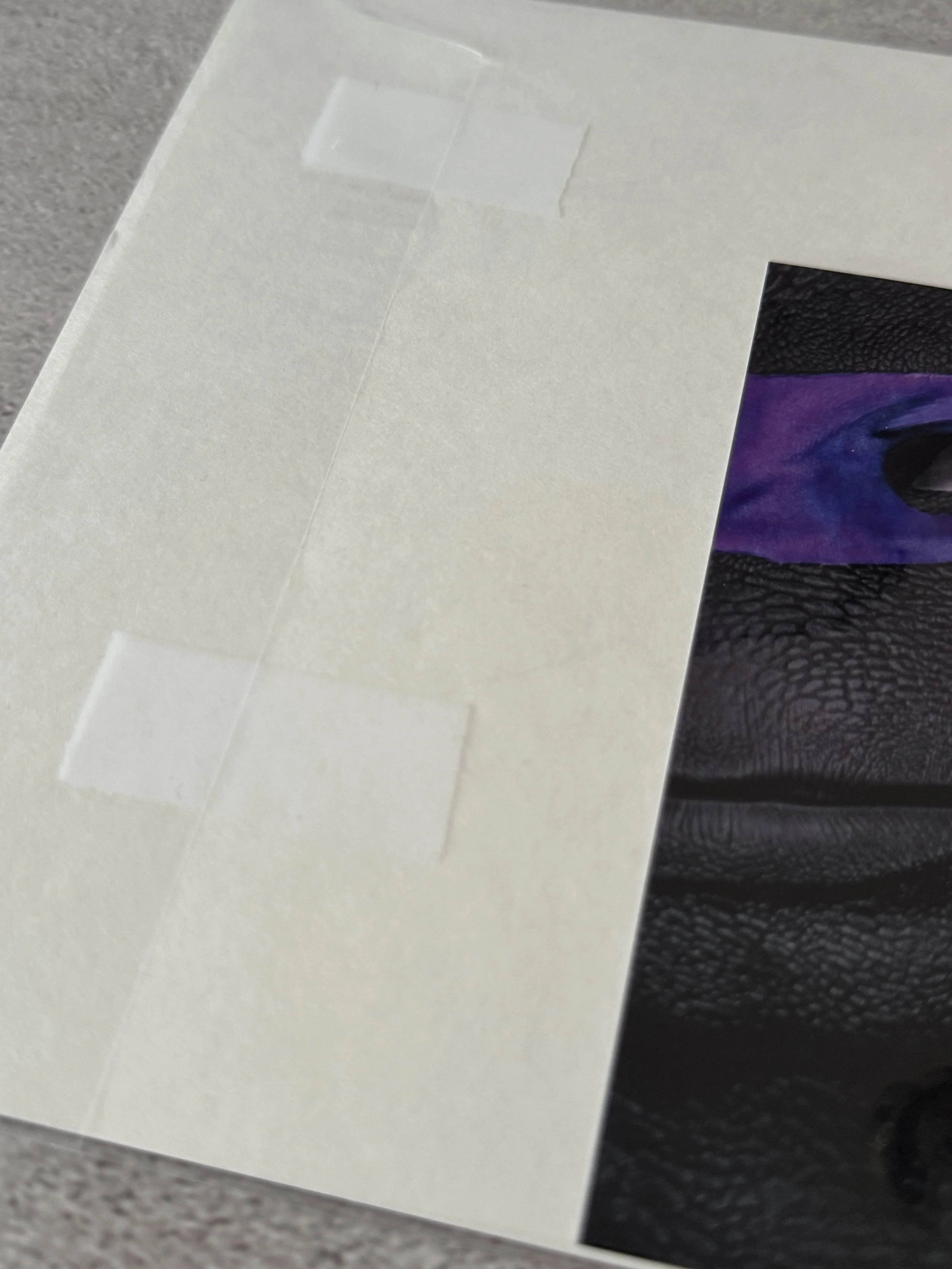 Teenage Mutant Ninja Turtles the Armageddon Game the Alliance #3B 2023 signed by kevin eastman