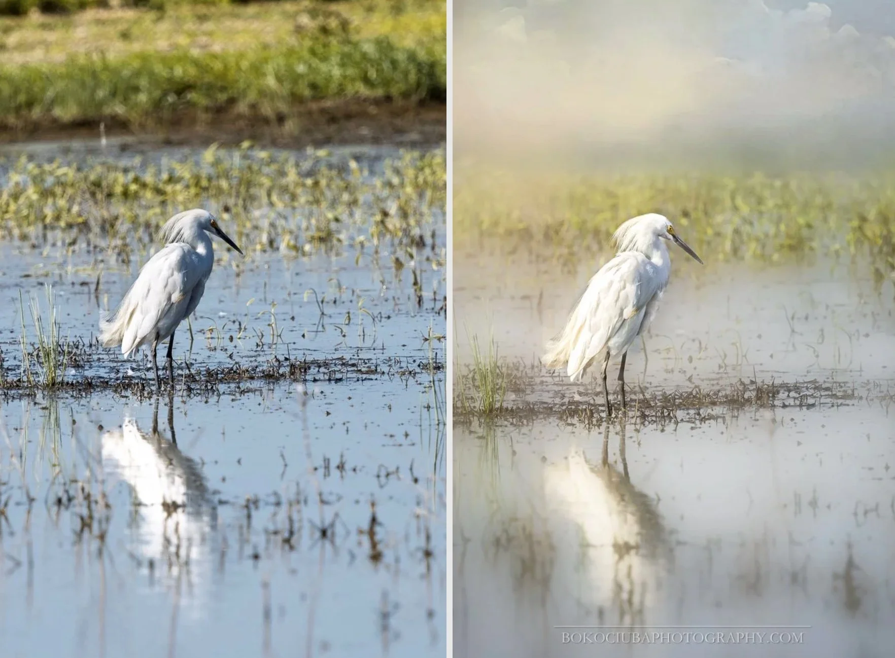 Before &amp; After: Discovering Painterly Process