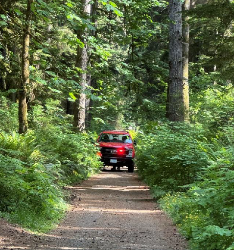 June Newsletter