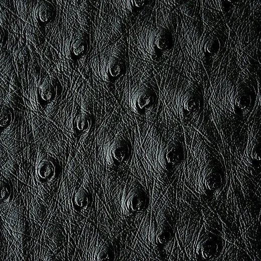 Black Color I.D. #1