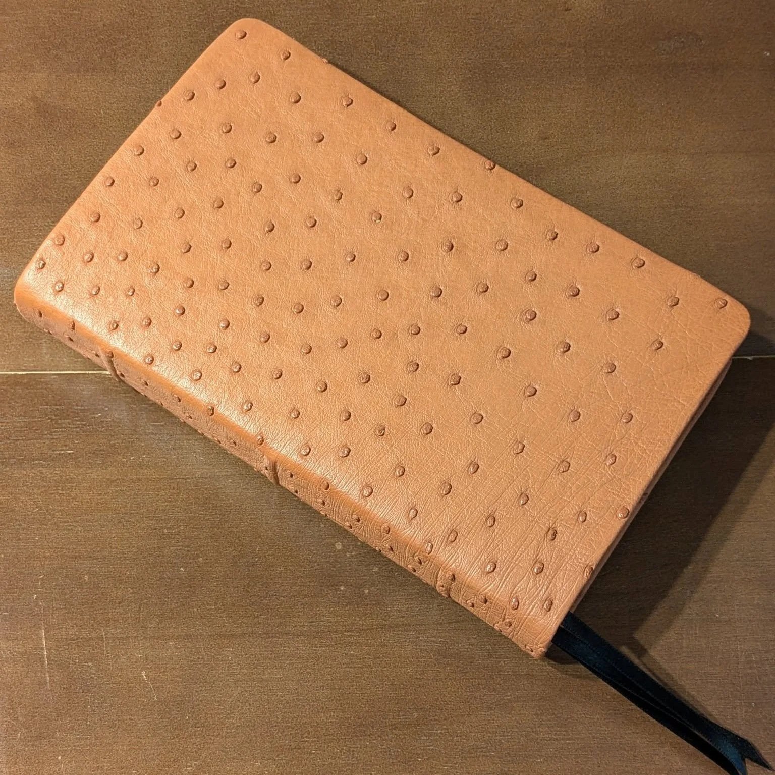 Bible+006a.jpg