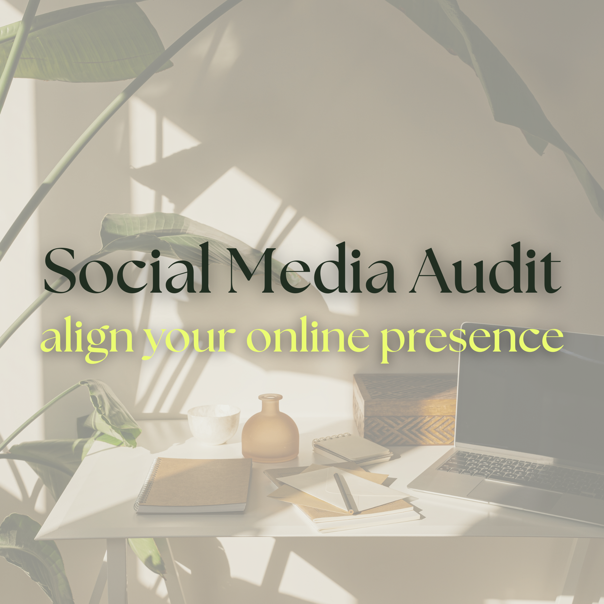 audit pic refined.png