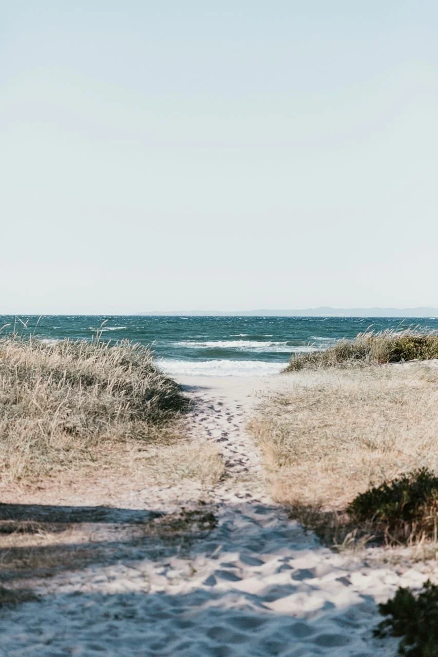 Pathways to healing and freedom.  A path leading to the beach with sand dunes and tall grasses on both sides, ocean with waves and distant land visible in the background, under a clear sky.
