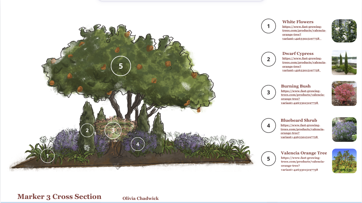 Screenshot 2026-06-15 at 5.37.41 PM.png