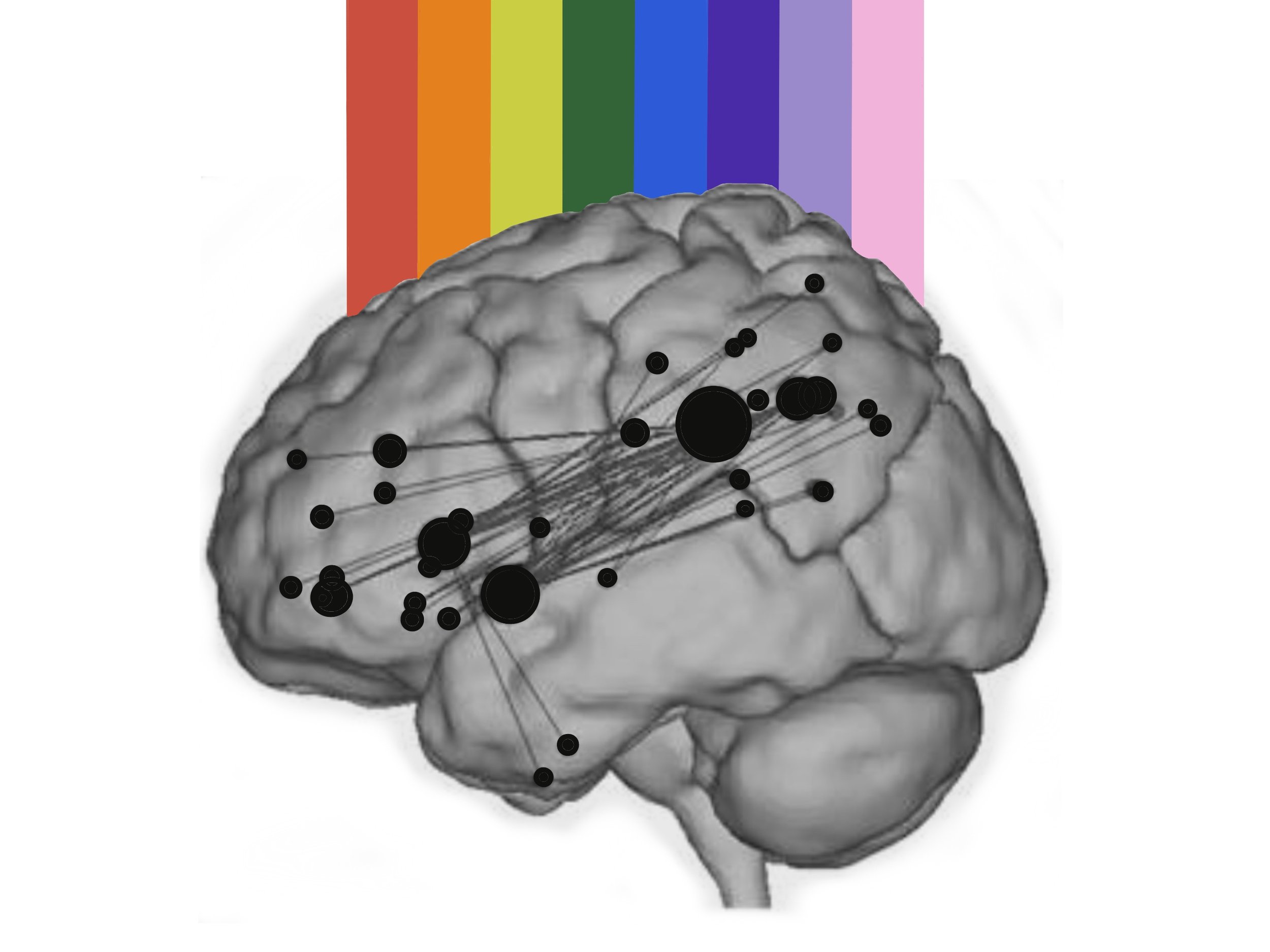 What’s happening in our brain when we create?