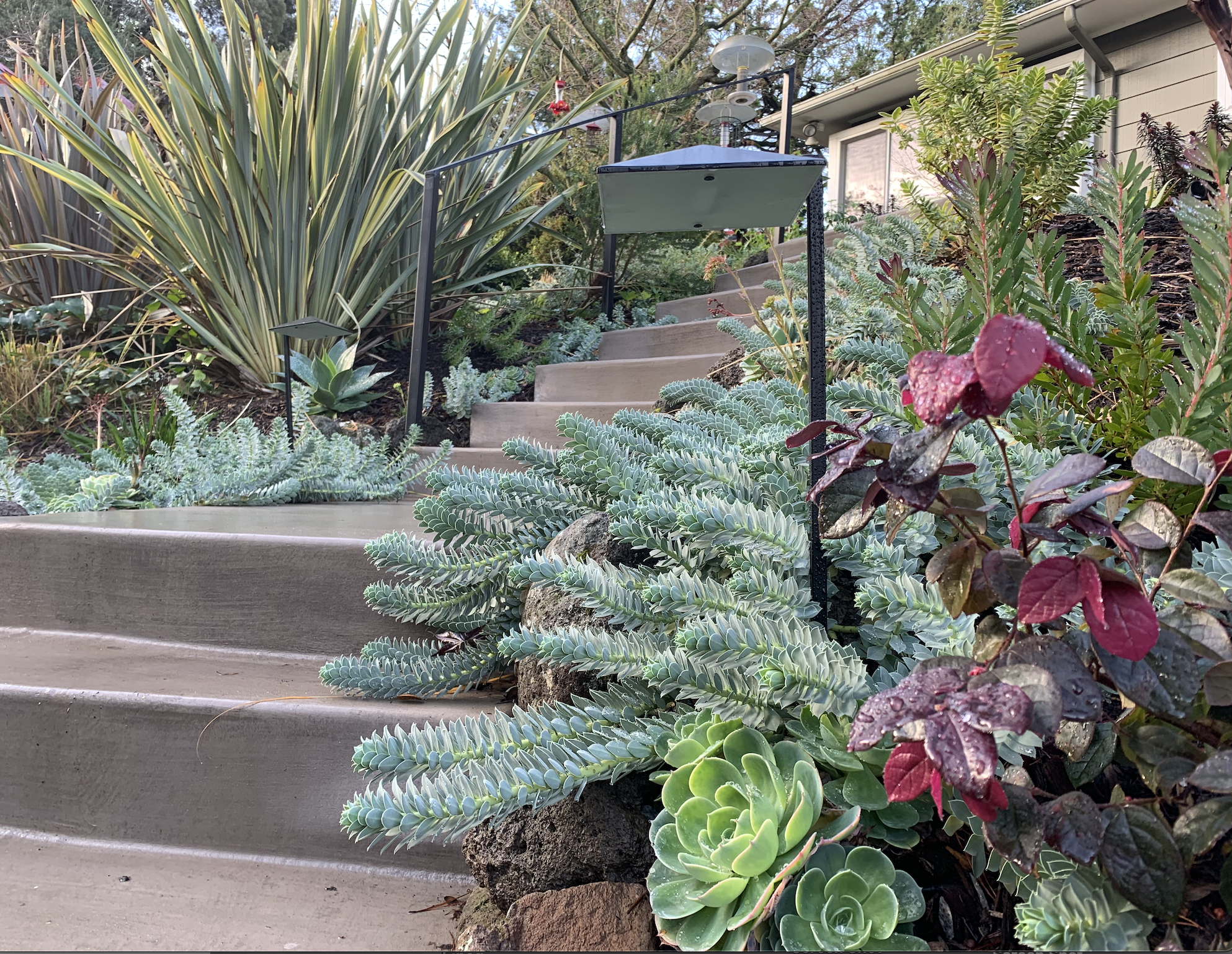 Screen Shot 2026-01-28 at 3.19.04 PM.png