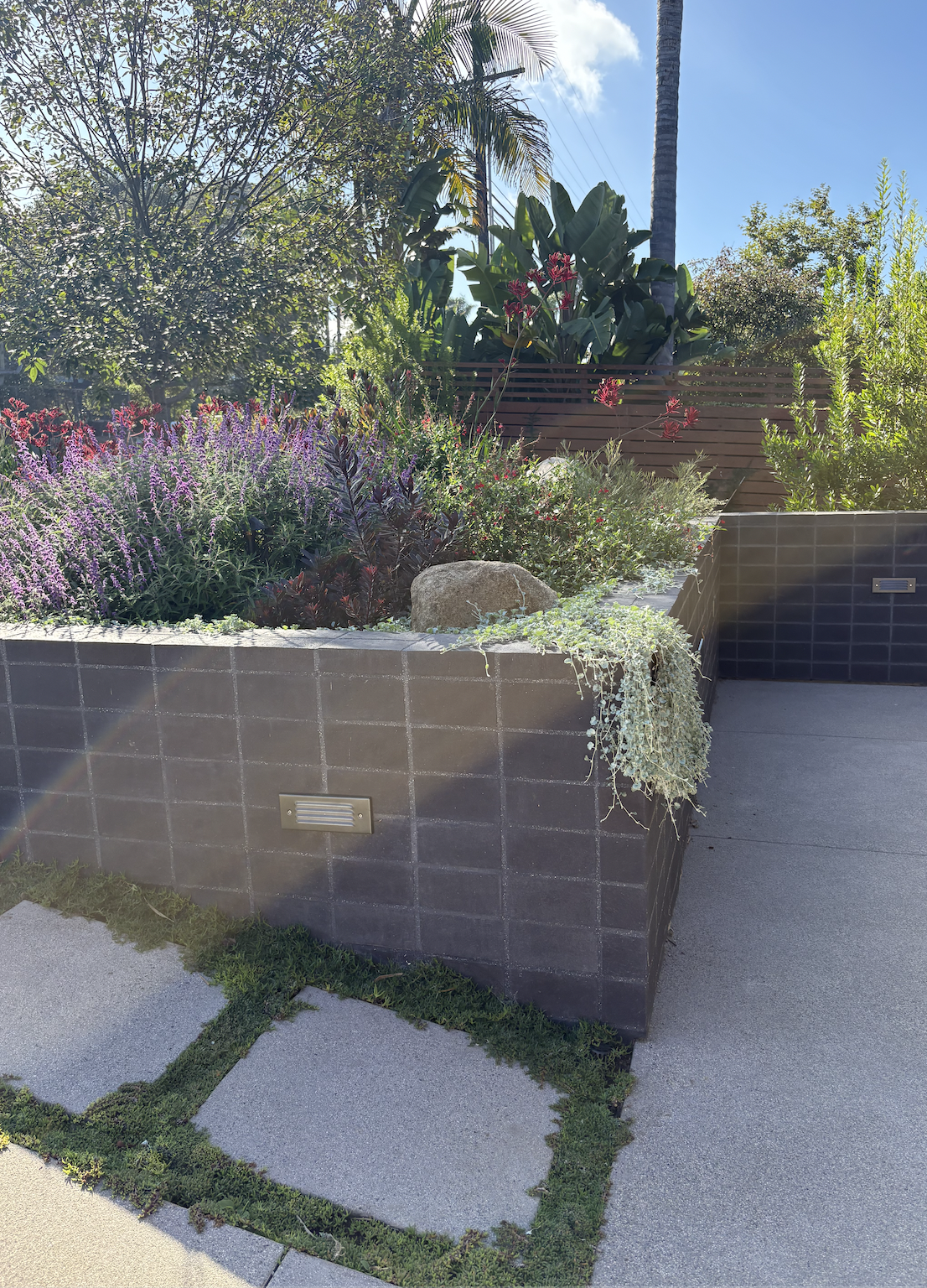 Screen Shot 2026-02-26 at 3.26.29 PM.png