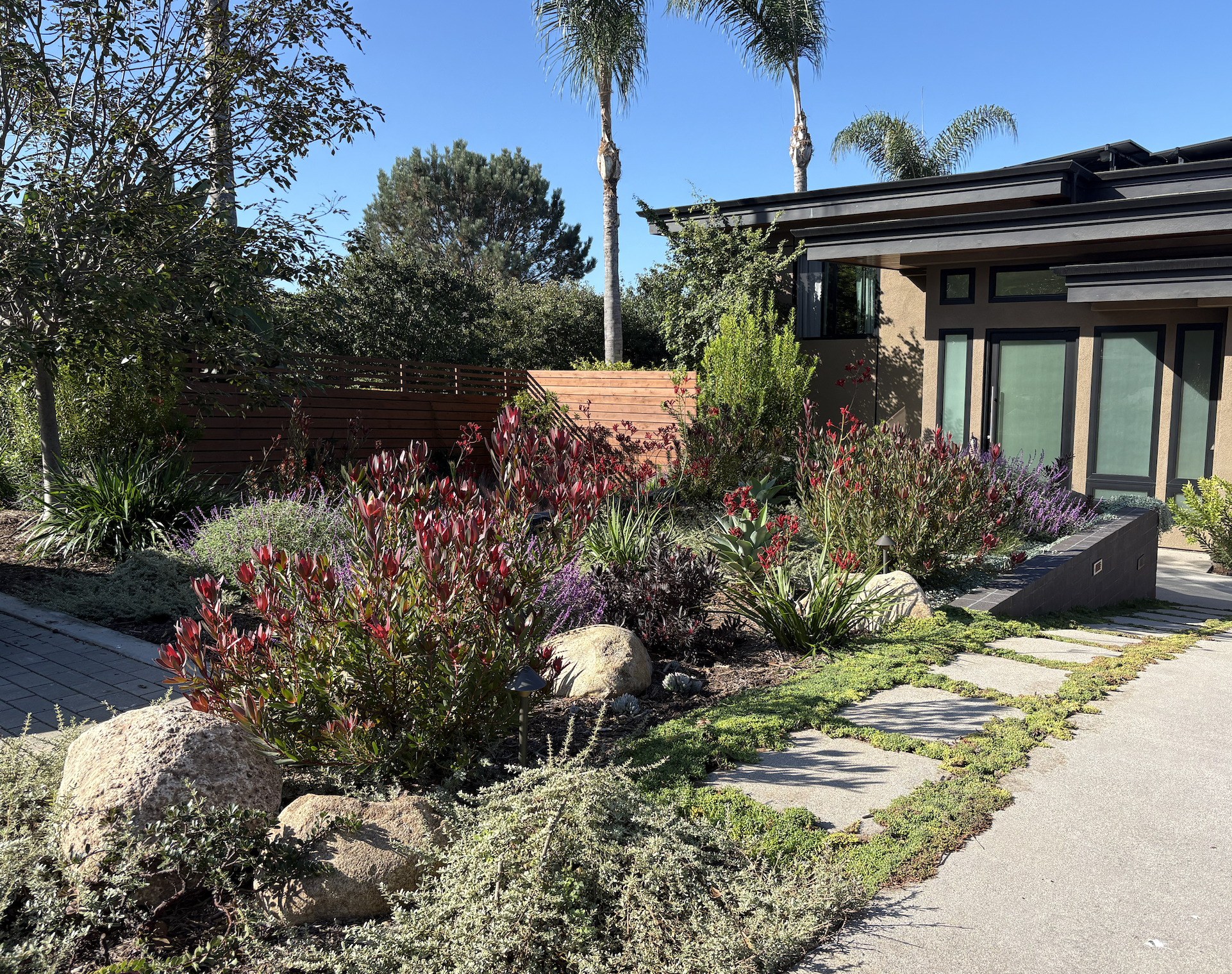 Screen Shot 2026-01-22 at 3.19.28 PM.png