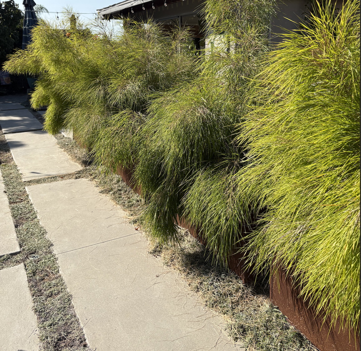 Screen Shot 2026-01-28 at 3.22.46 PM.png