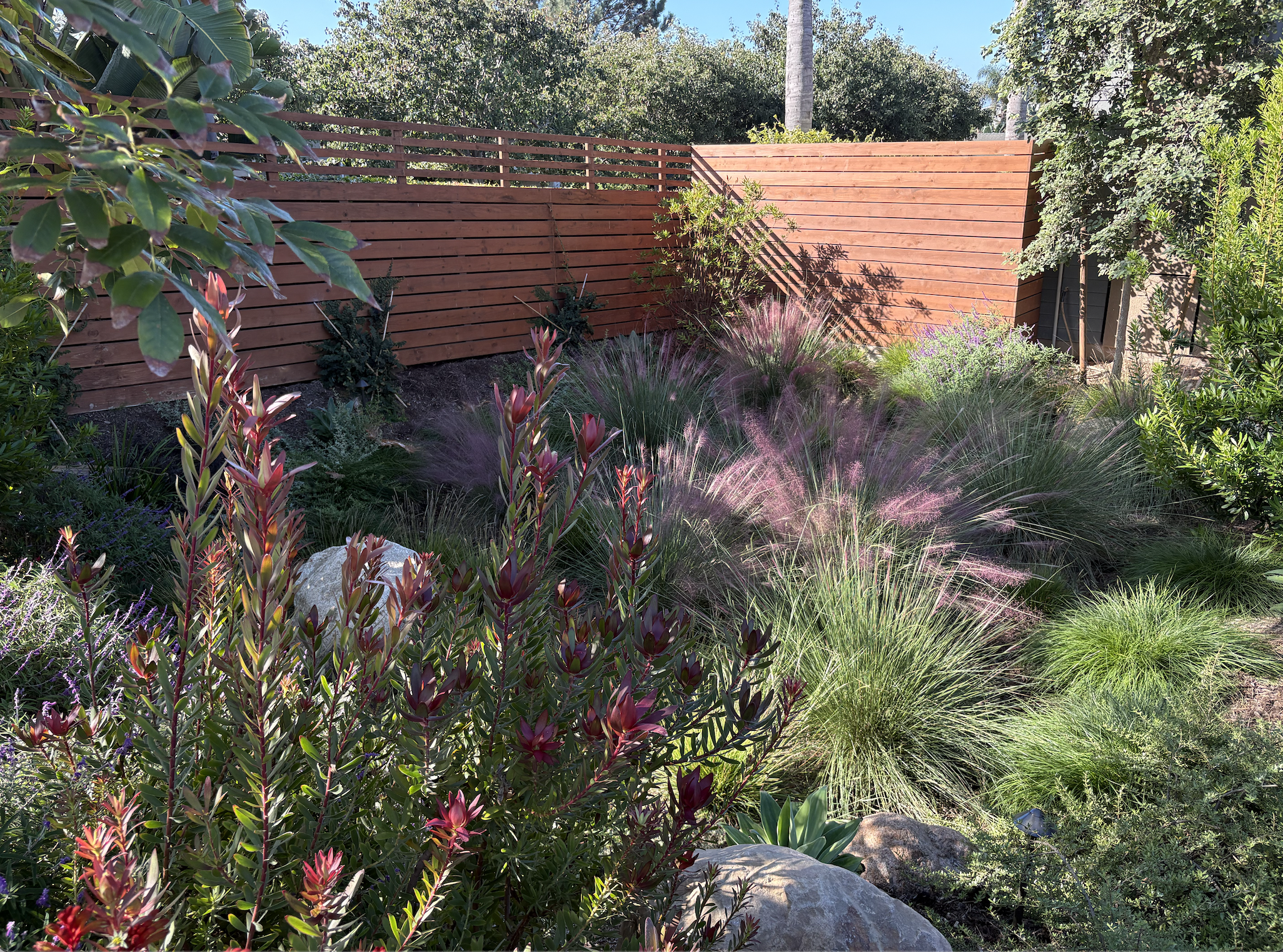 Screen Shot 2026-01-22 at 3.20.59 PM.png