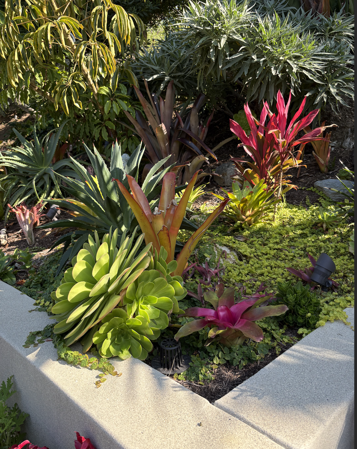 Screen Shot 2026-01-28 at 3.22.30 PM.png