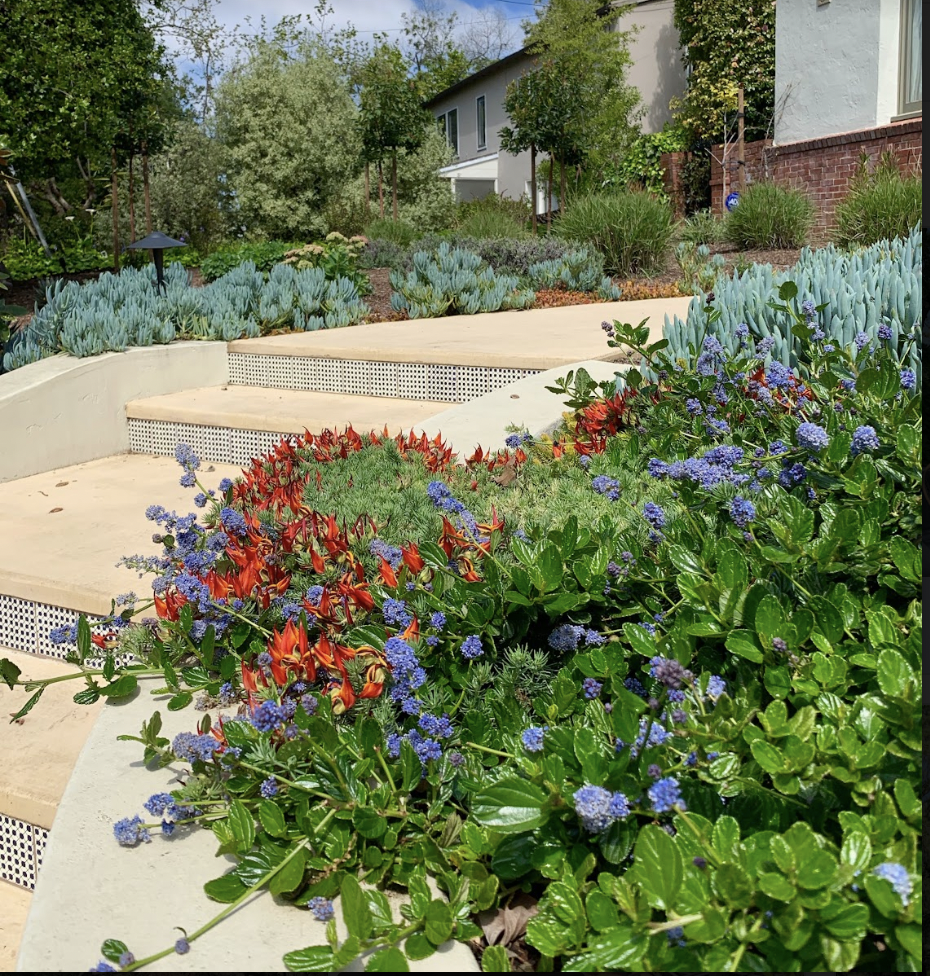 Screen Shot 2026-01-27 at 5.17.33 PM.png