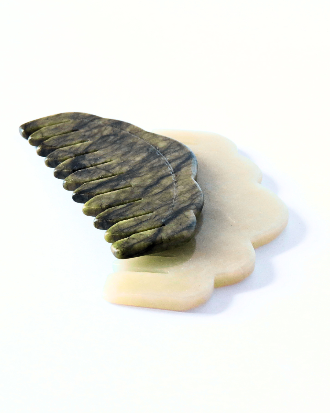 Shaggy Collective Images.png