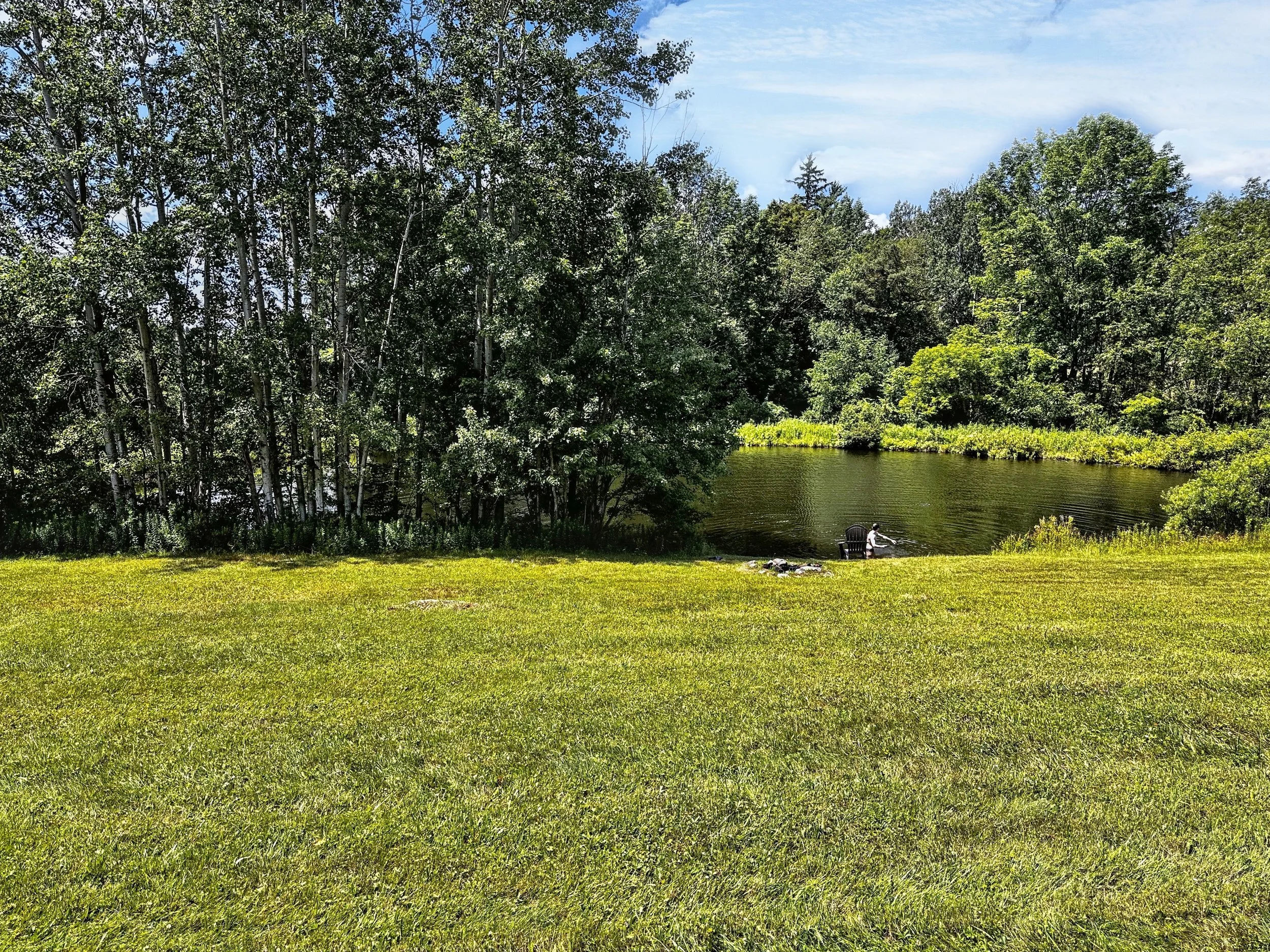 A person fishing by a small pond surrounded by trees and grass on a sunny day.