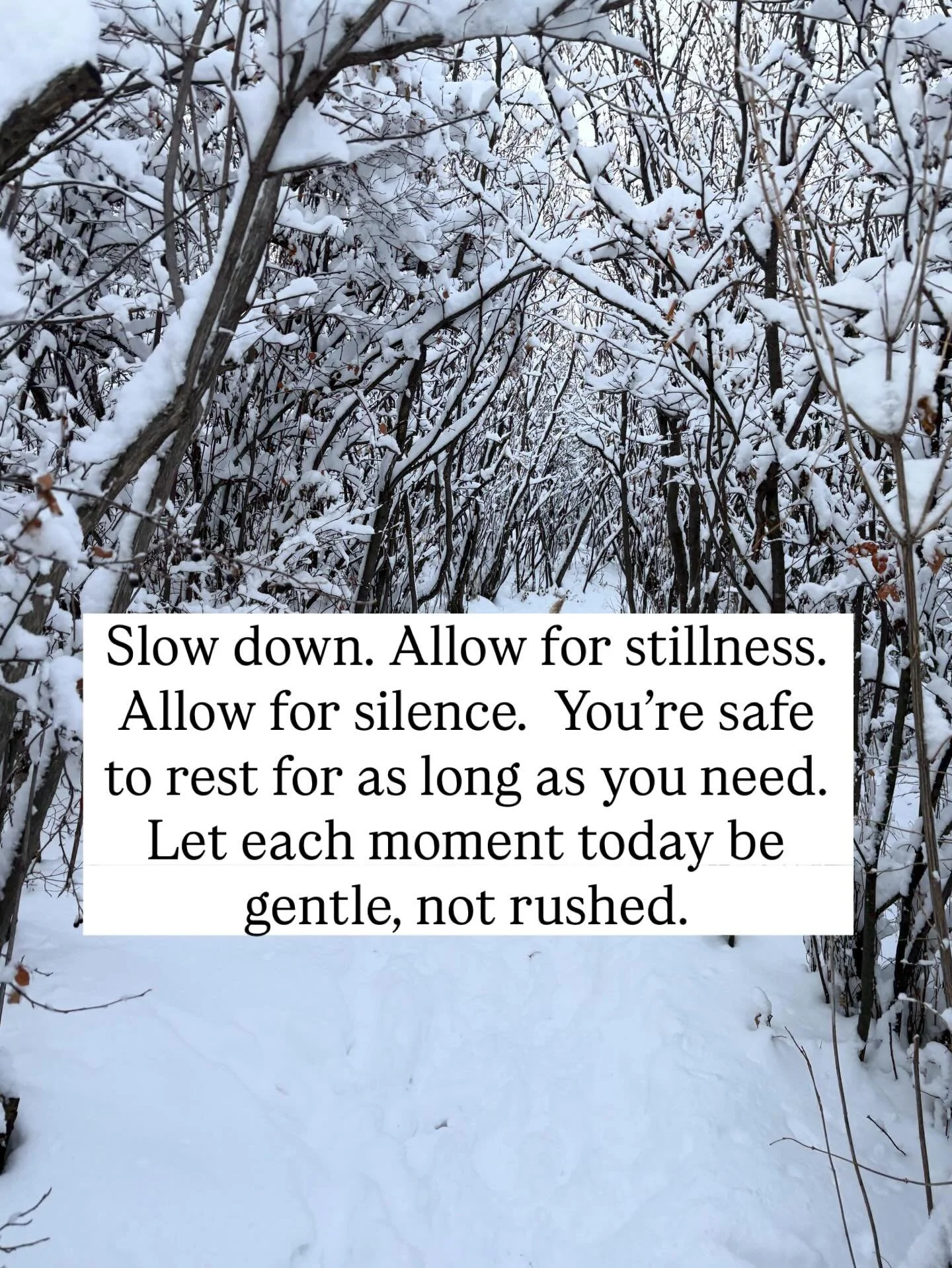 Slow &amp; steady ❄️✨