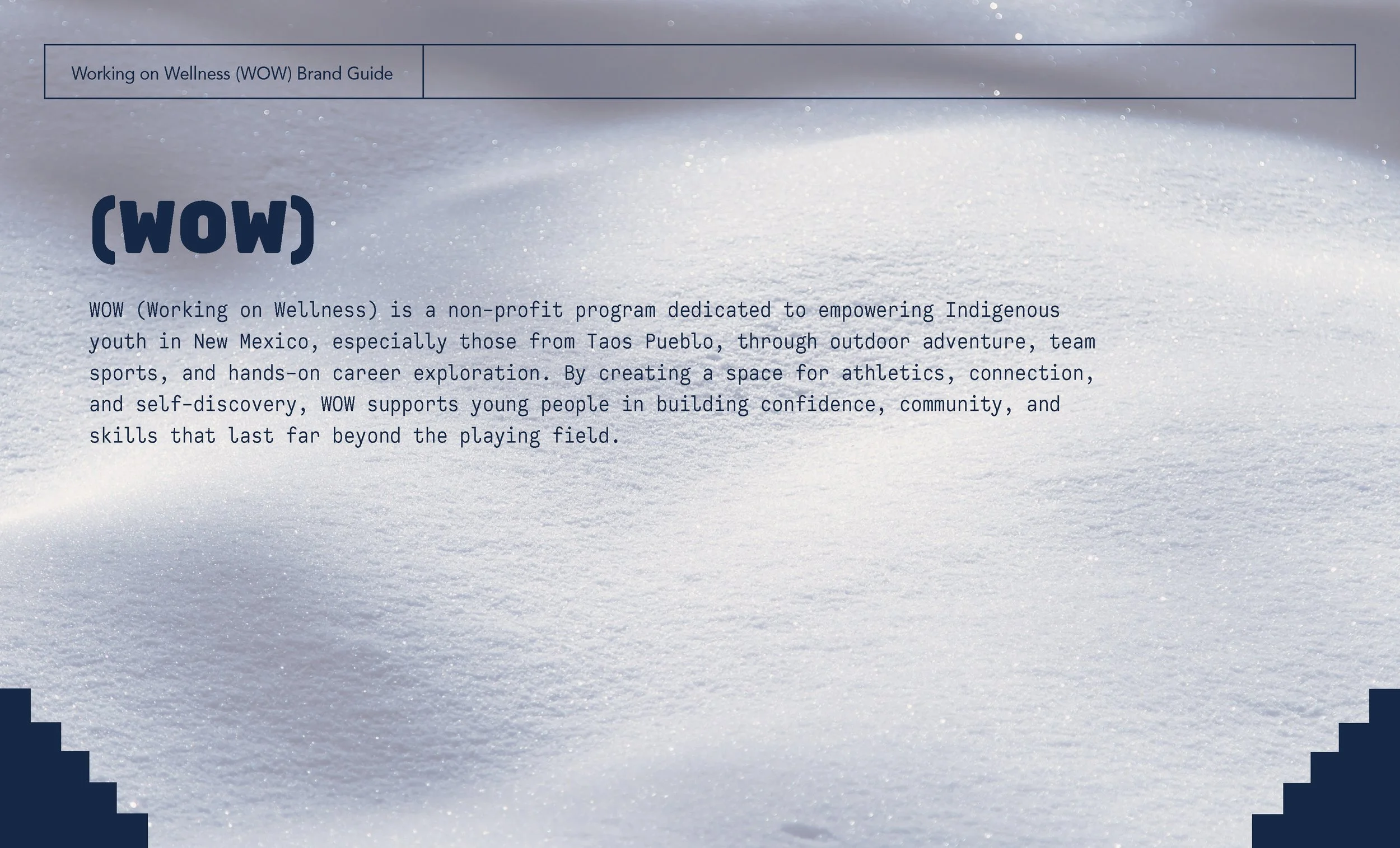 WOWBrandGuide_Page_01 copy.jpg