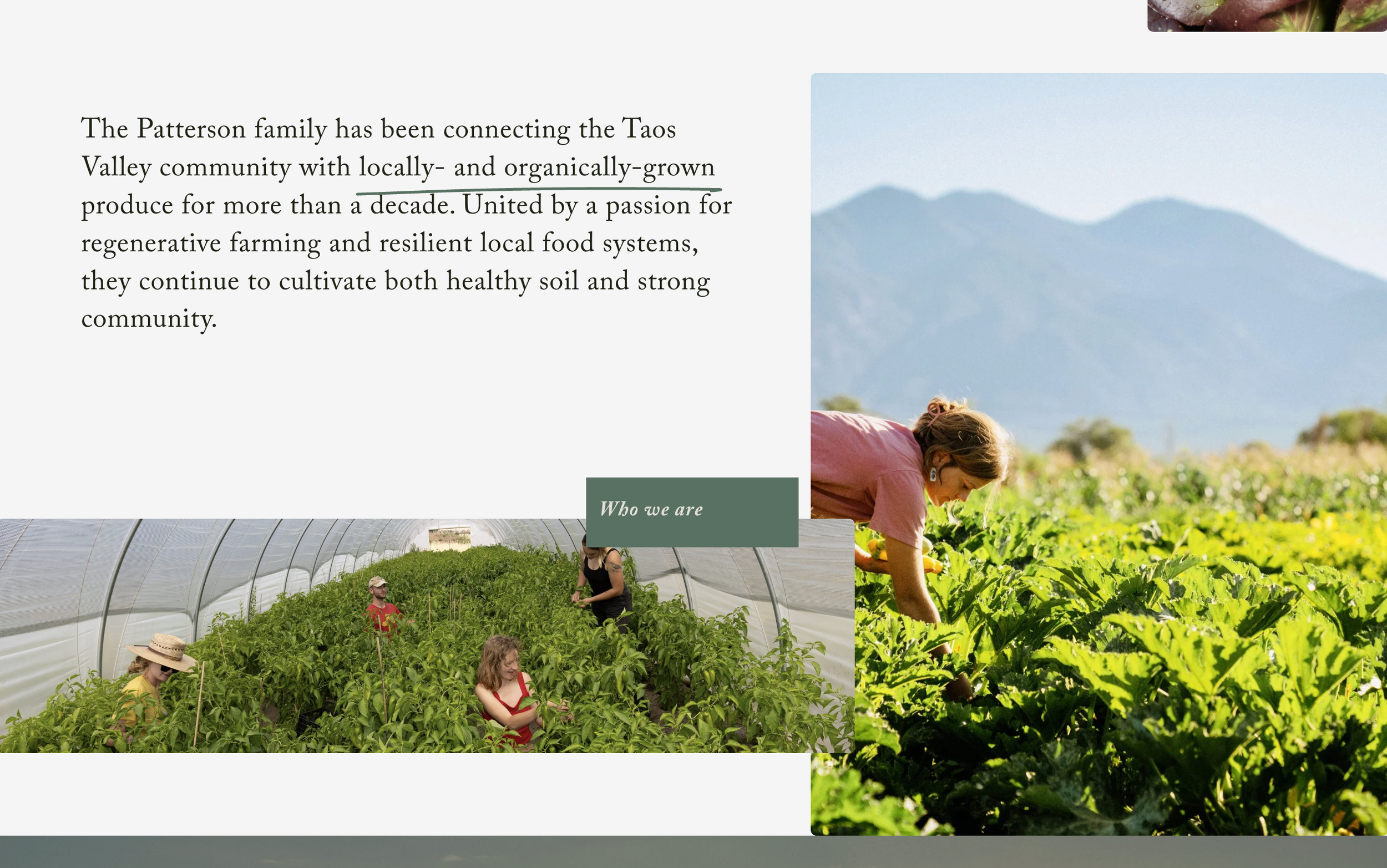 Screenshot 2026-01-08 at 9.53.28 AM.png