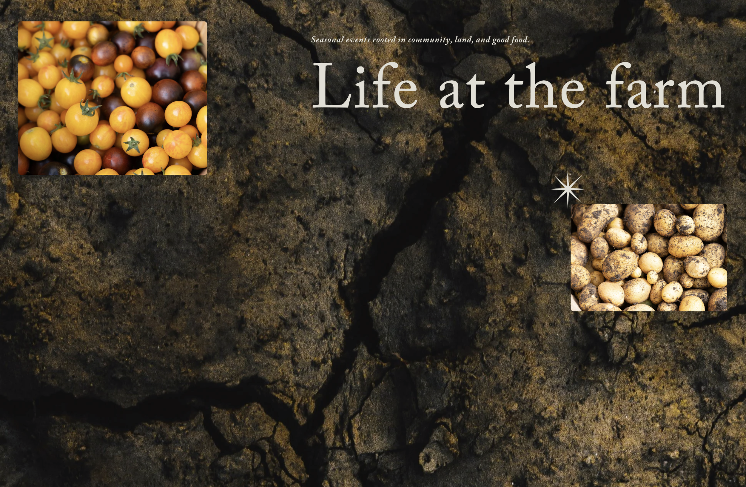 Screenshot 2026-01-08 at 9.47.45 AM.png