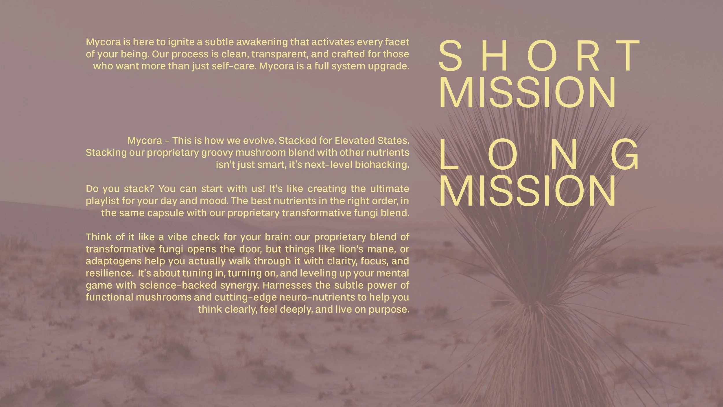 MycoraBrandGuide_Page_02.jpg