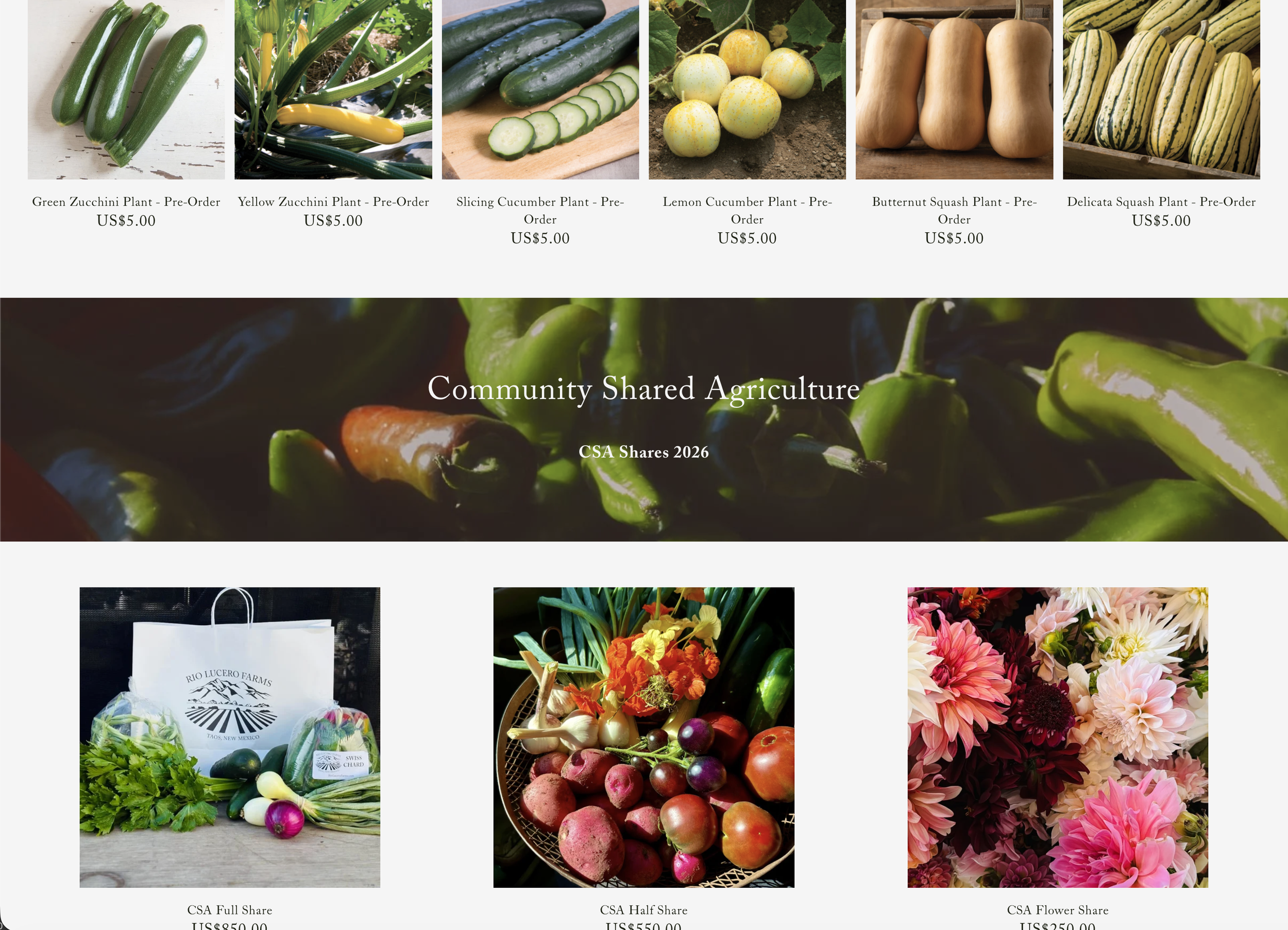 Screenshot 2026-02-19 at 12.18.37 PM.png