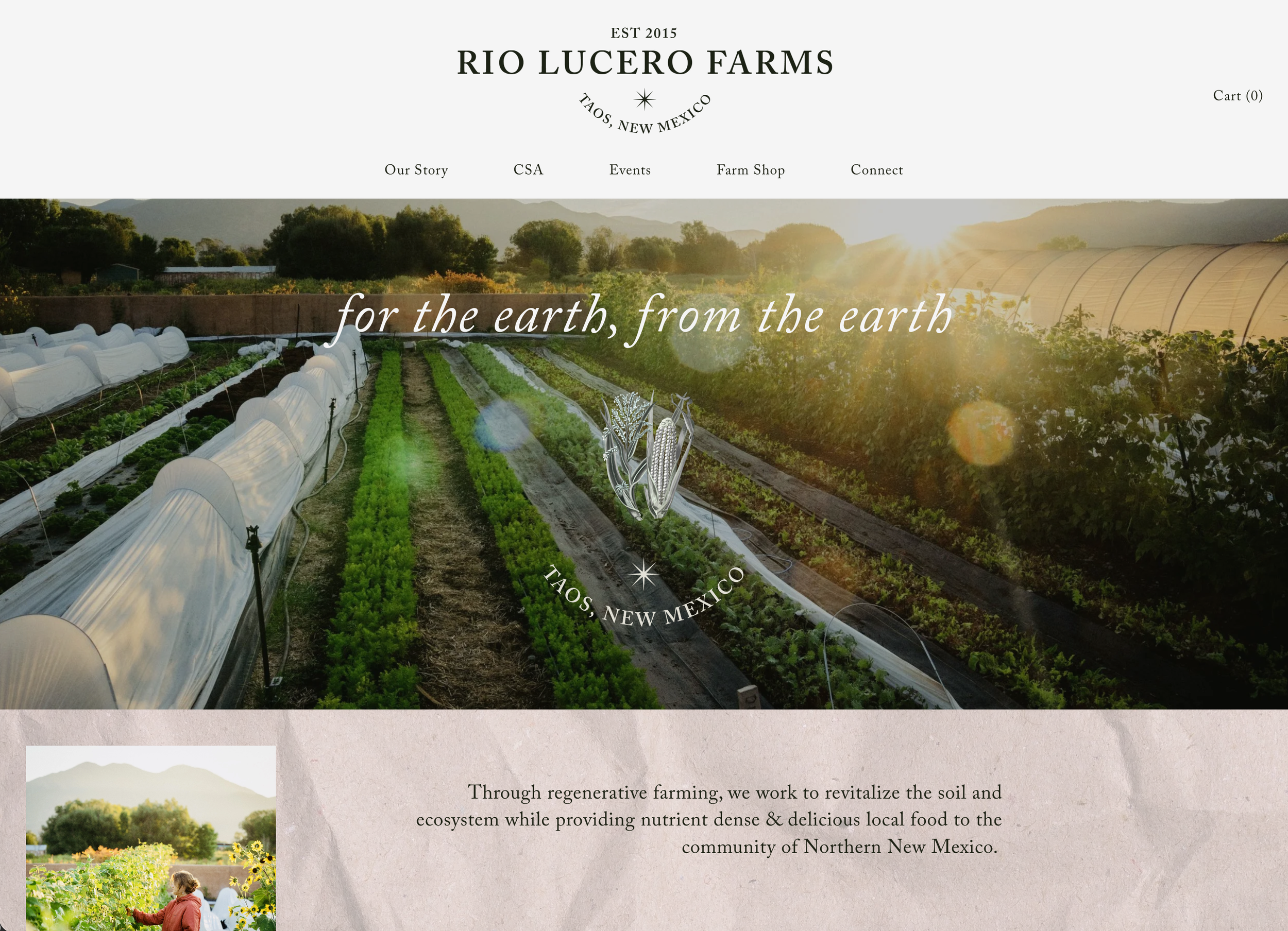 Screenshot 2026-02-19 at 12.17.52 PM.png