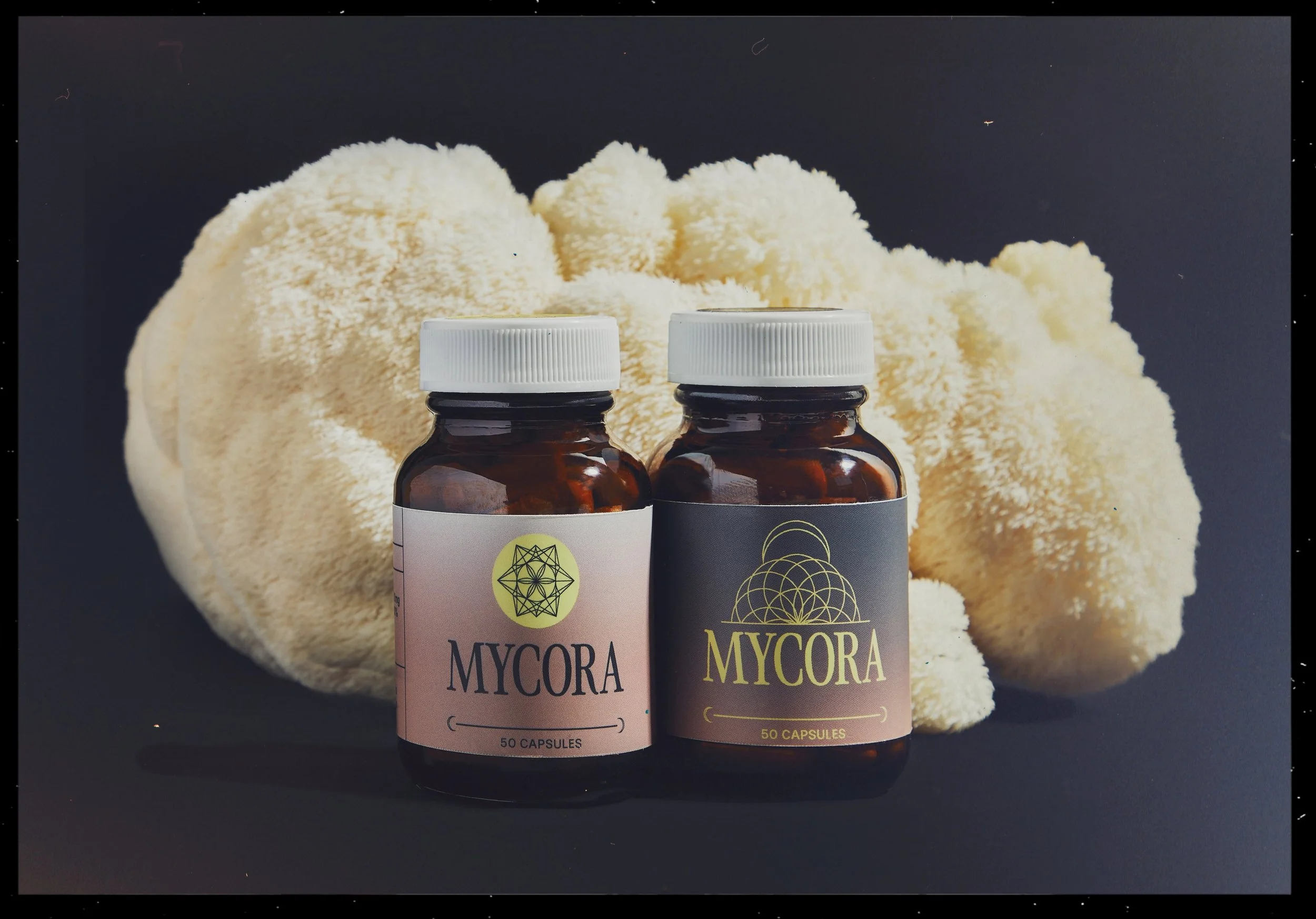 mycora_benthouse1099-RT_film copy.jpg