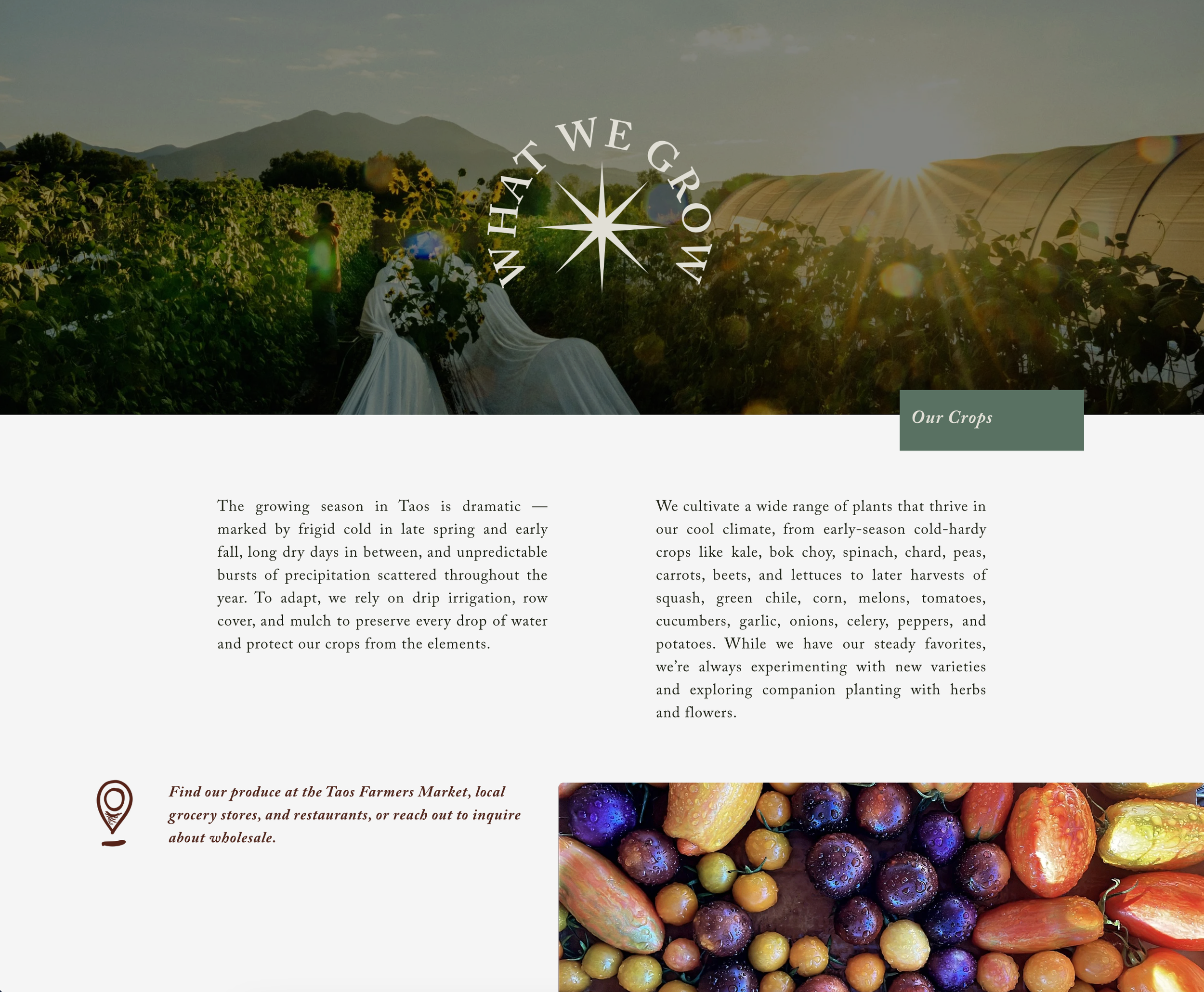 Screenshot 2026-01-08 at 9.53.36 AM.png