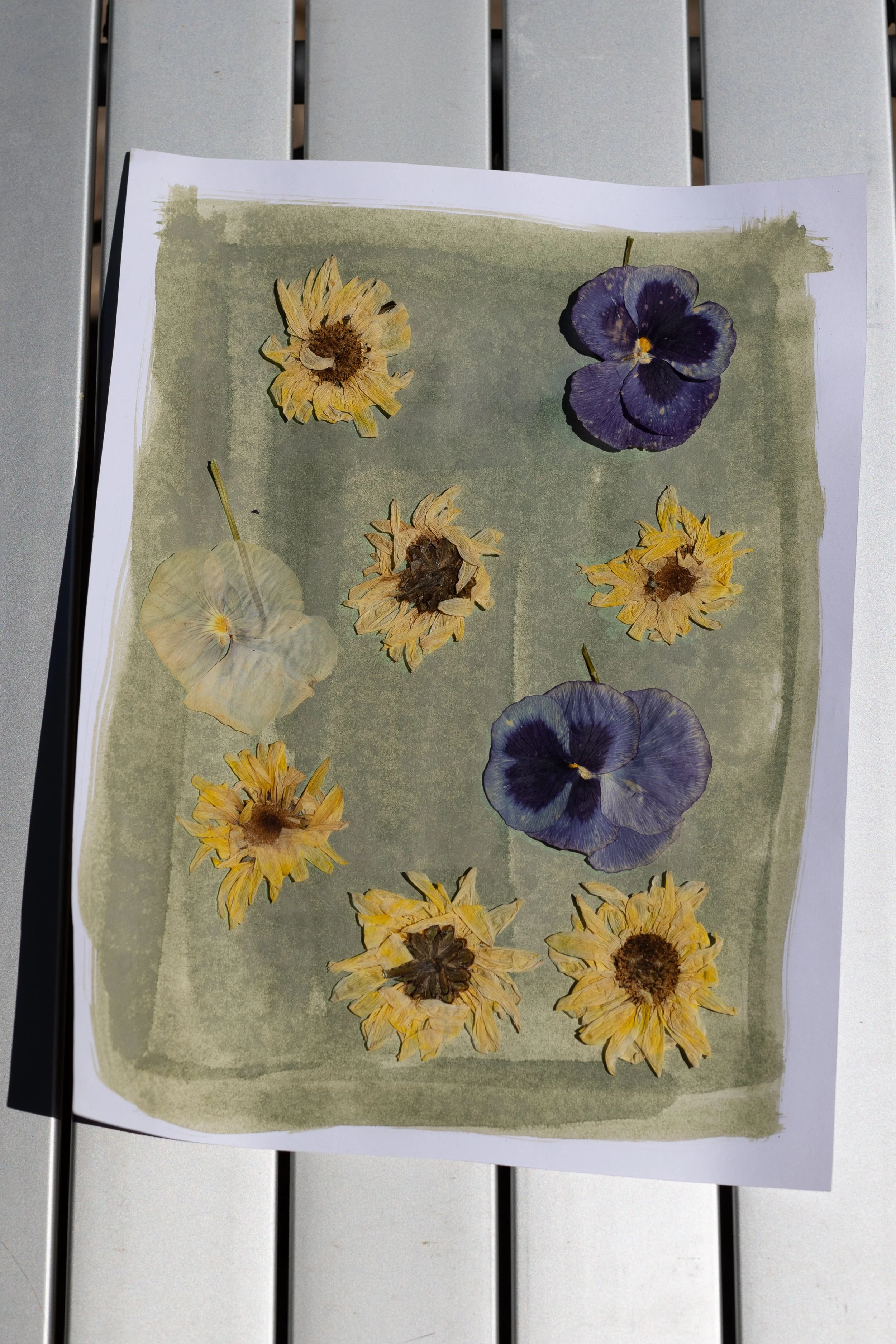 A sheet of paper with pressed flowers, including yellow and purple blossoms, placed on a metallic surface.