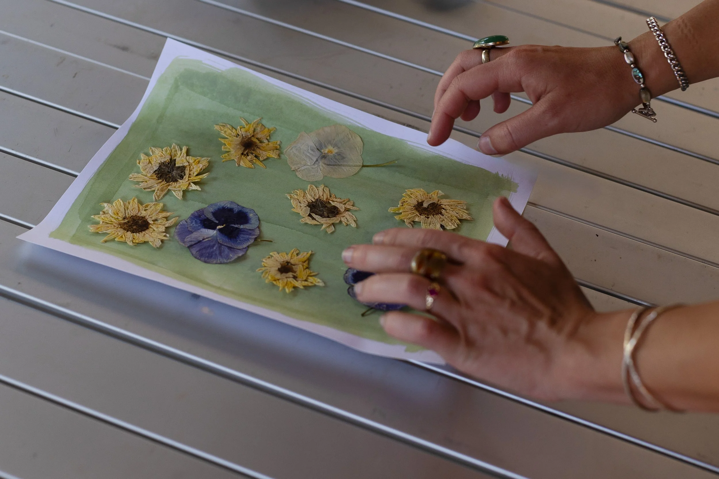 Hands arranging dried pressed flowers on a piece of paper with a green background, on a metal surface.