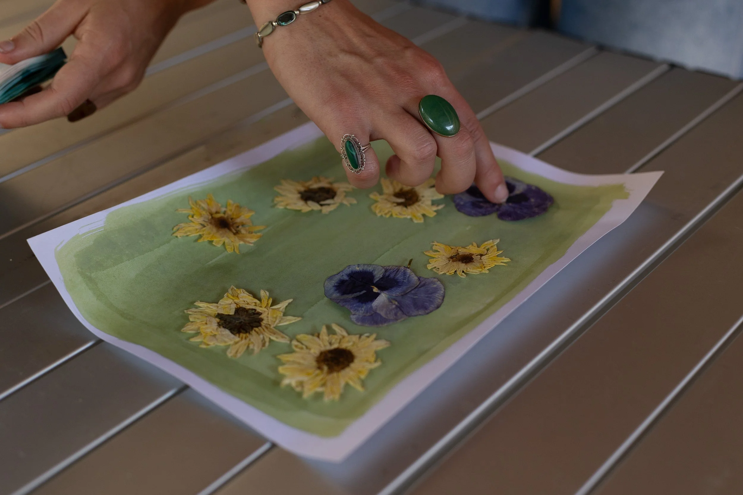 Close-up of a person's hand with large green rings placing pressed flowers and leaves onto a green sheet of paper on a table, with a few purple flowers among the yellow flowers.