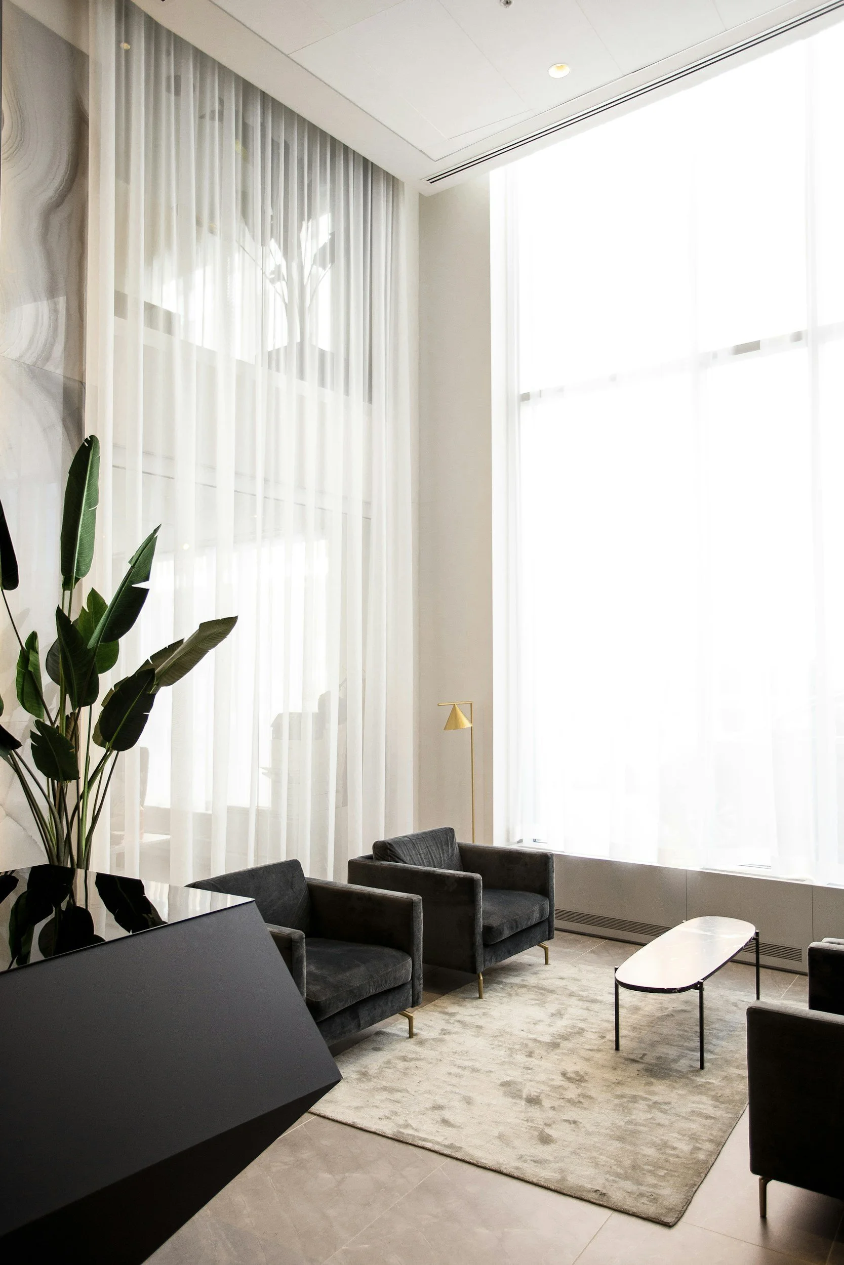 Modern living room with large windows, sheer curtains, black armchairs, a small coffee table, a beige rug, a tall green plant, and a gold floor lamp.