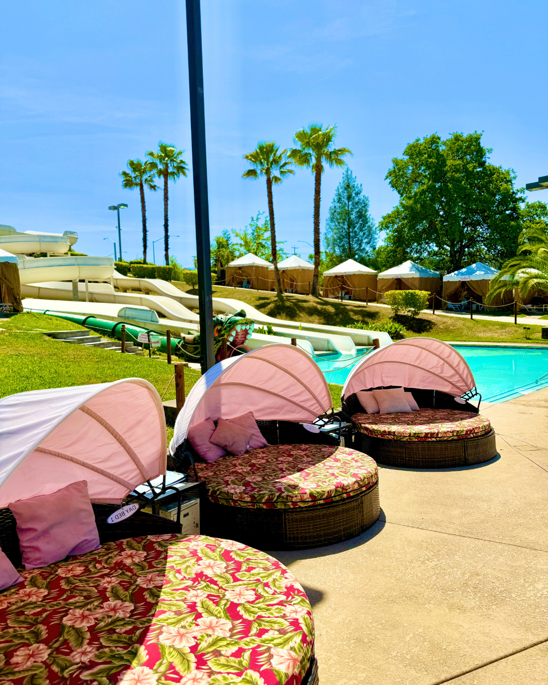 Kiddie Playground Poolside Daybeds with floral cushions and shell shaped canopies, adjacent to a the bottom of the flume slides, with tall palm trees, and cabanas in the background on a sunny day.