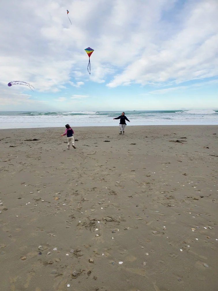 People flying kites on a sandy beach near the ocean with cloudy sky.