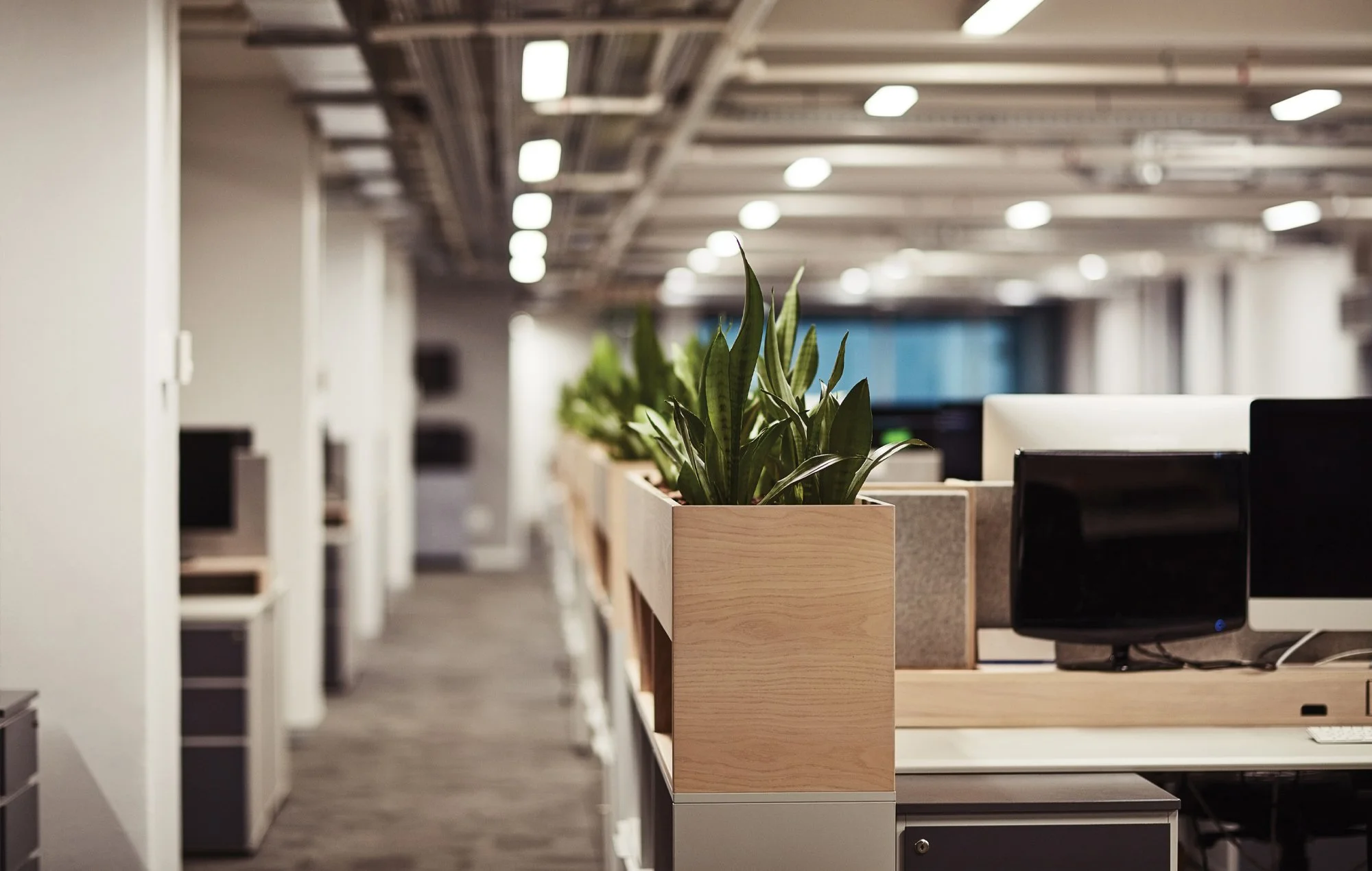 Commercial Cleaning New Plymouth