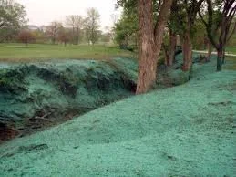 A park scene with a grassy area, trees, and a ditch or small river with water.
