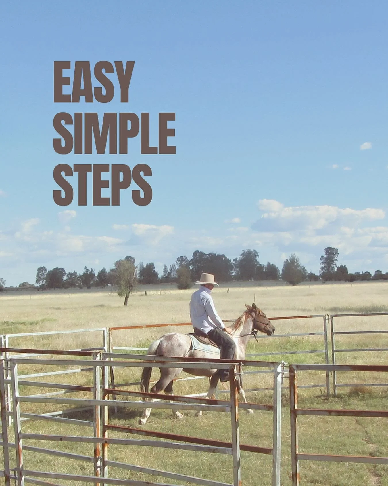 Running a business is already a full day&rsquo;s work &mdash; especially out here.
That&rsquo;s why we&rsquo;ve built simple, practical bundles to help you get online without the overwhelm.

Easy, simple steps:
&bull; Website Starter Pack &mdash; a c