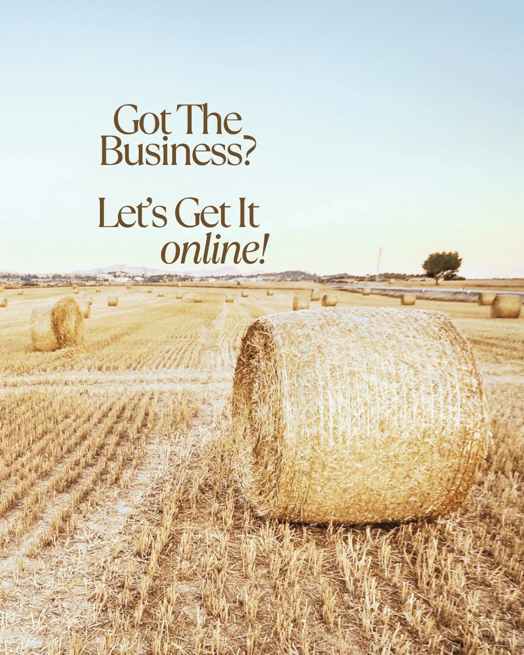 Got the business?

Let&rsquo;s make it easier for customers to find you.

The Website Starter Package is built for busy business owners who need a professional online presence &mdash; without the time, stress or complexity.

Simple setup. Clear struc