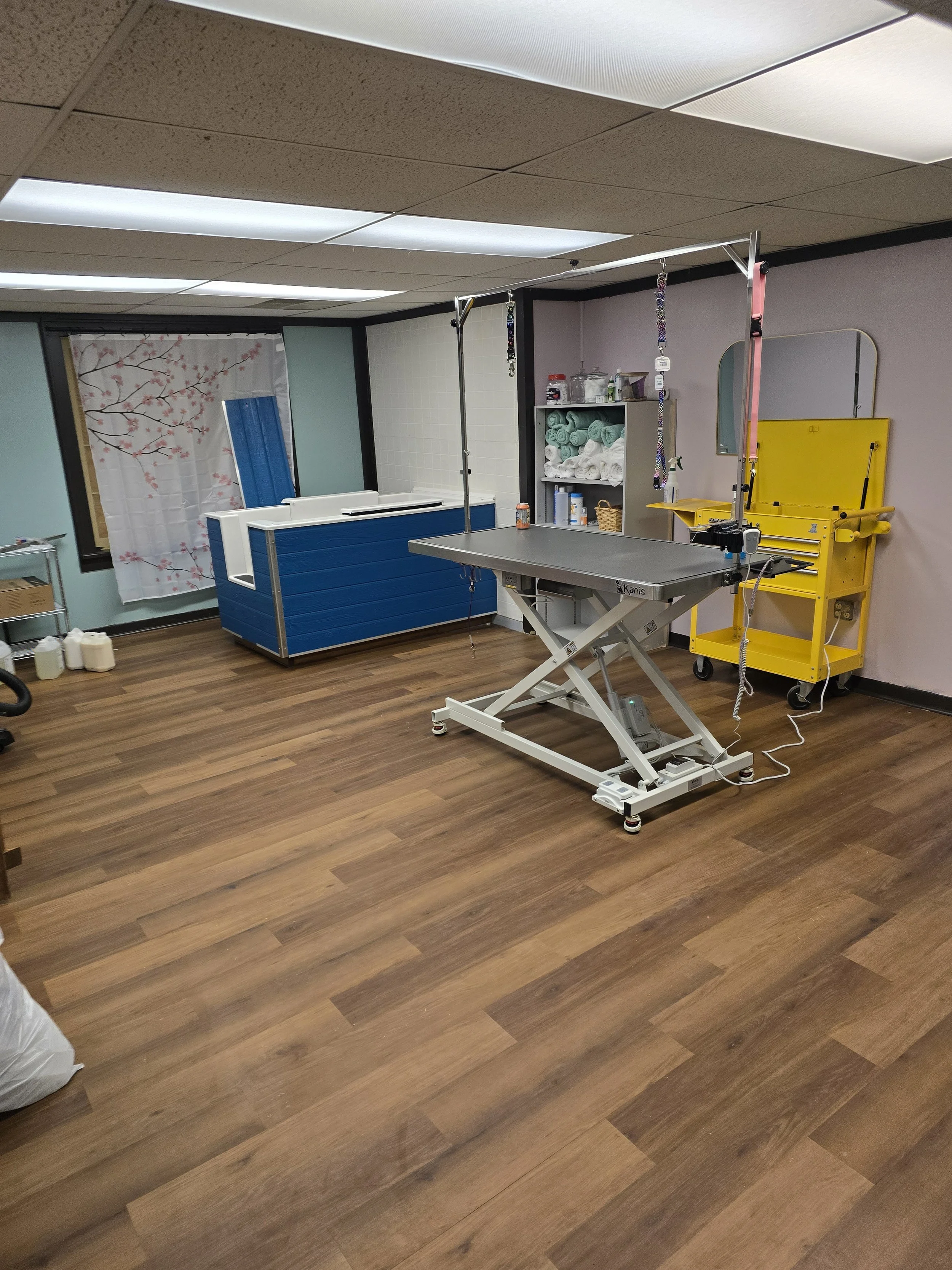 A room with a wooden floor, a grooming table, and grooming tools in the background, indicating a pet grooming salon.