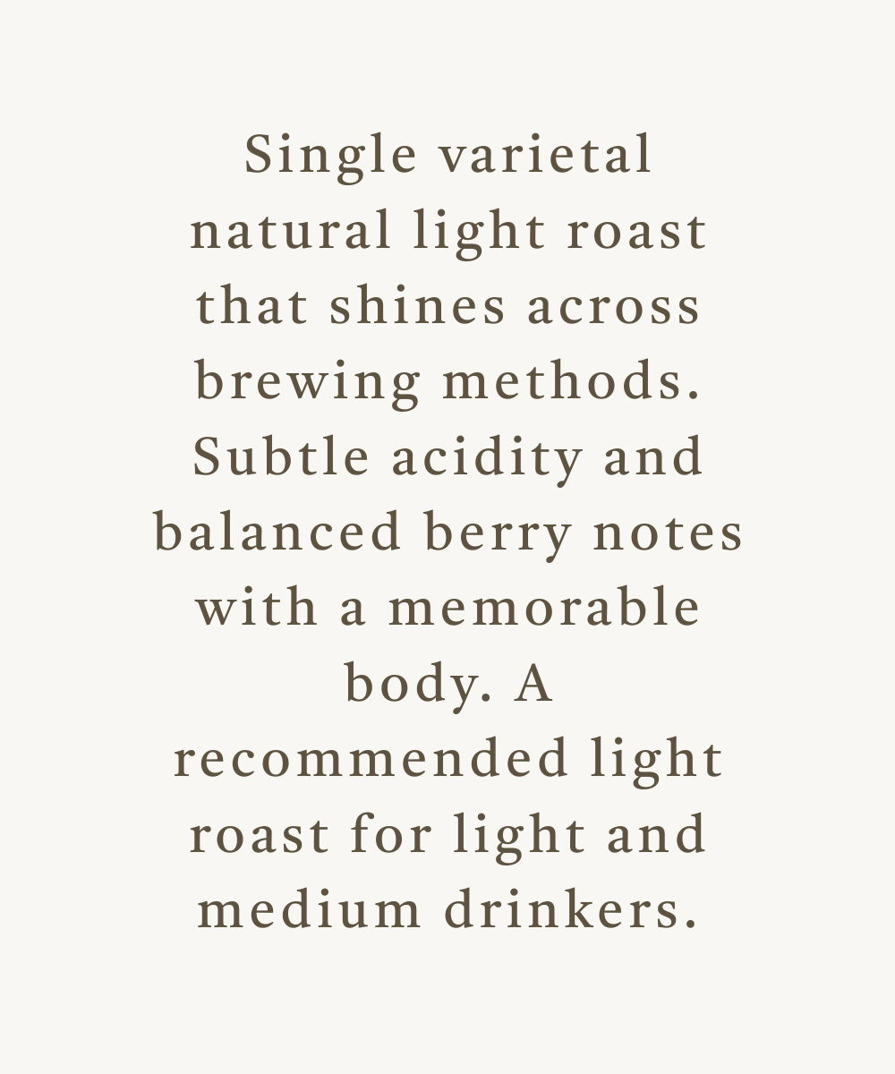 Copy of red drum roasters (4.25 × 5.5 in)-9.png