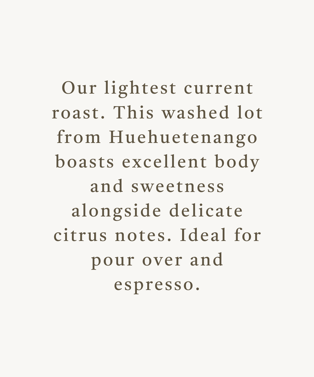Washed Huehuetenango Guatemala-2.png