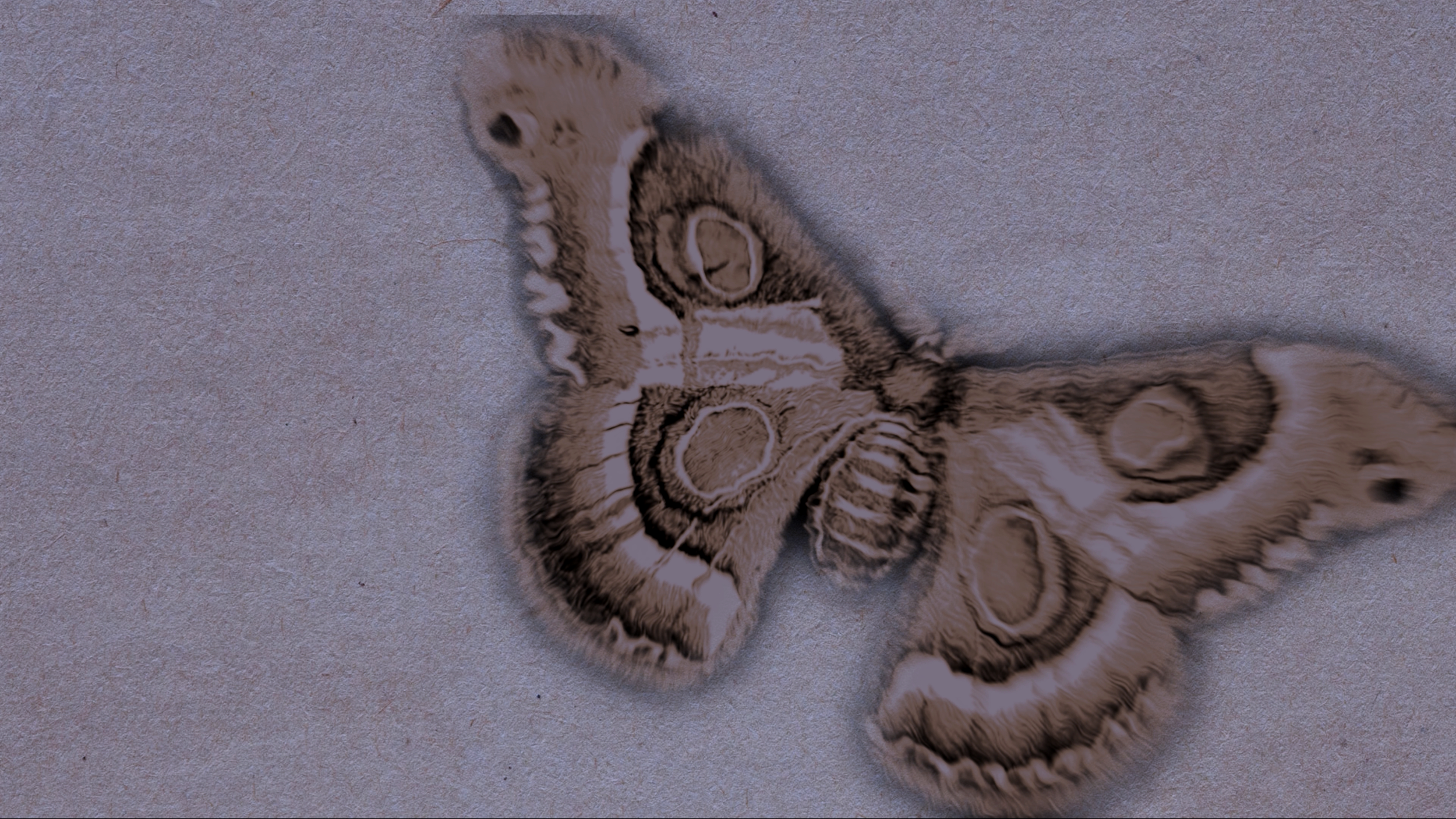 Screenshot 2025-10-28 at 6.49.47 pm.png